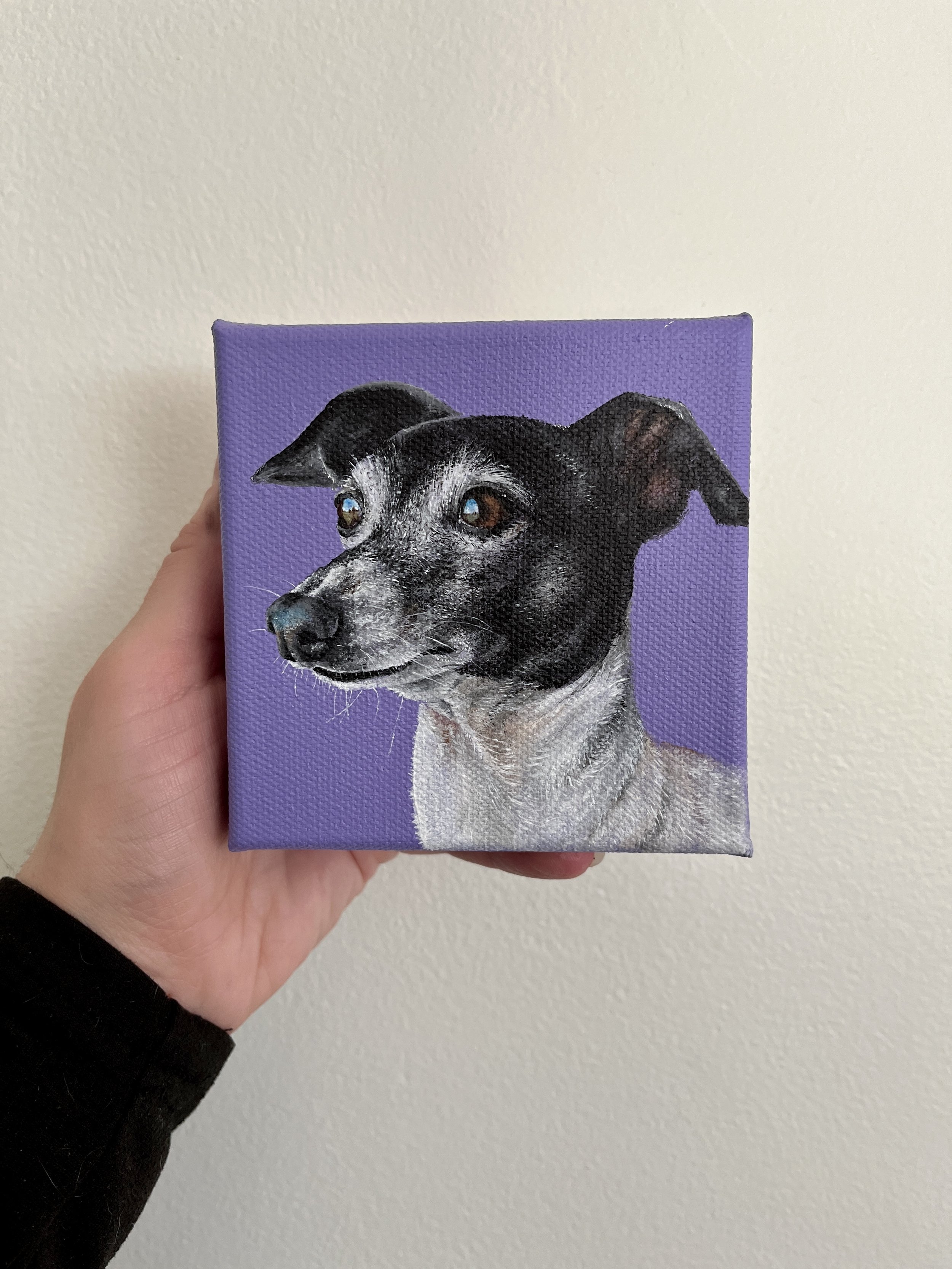 Pippa