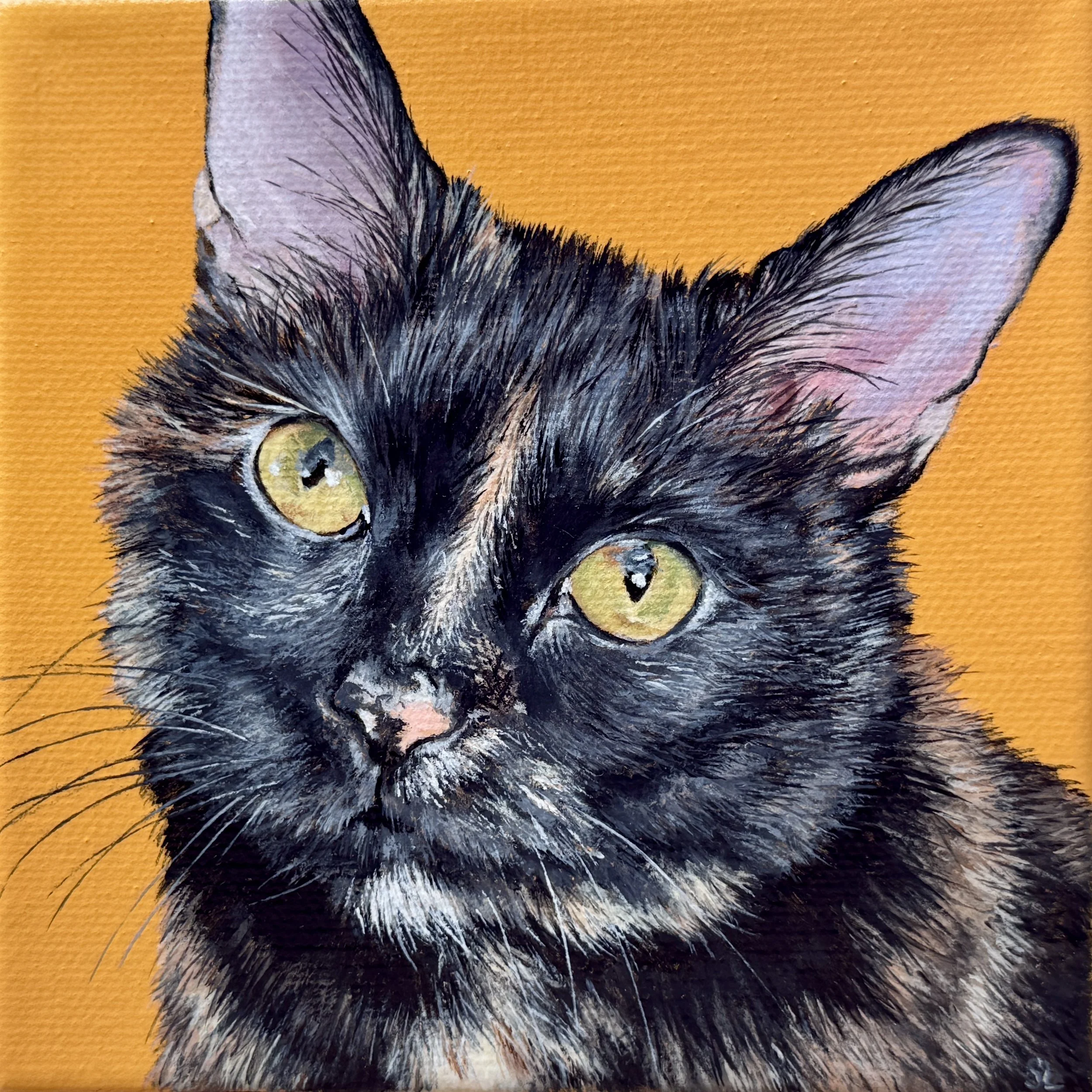 Leia Acrylic on Canvas 5”x5” 2025 SOLD