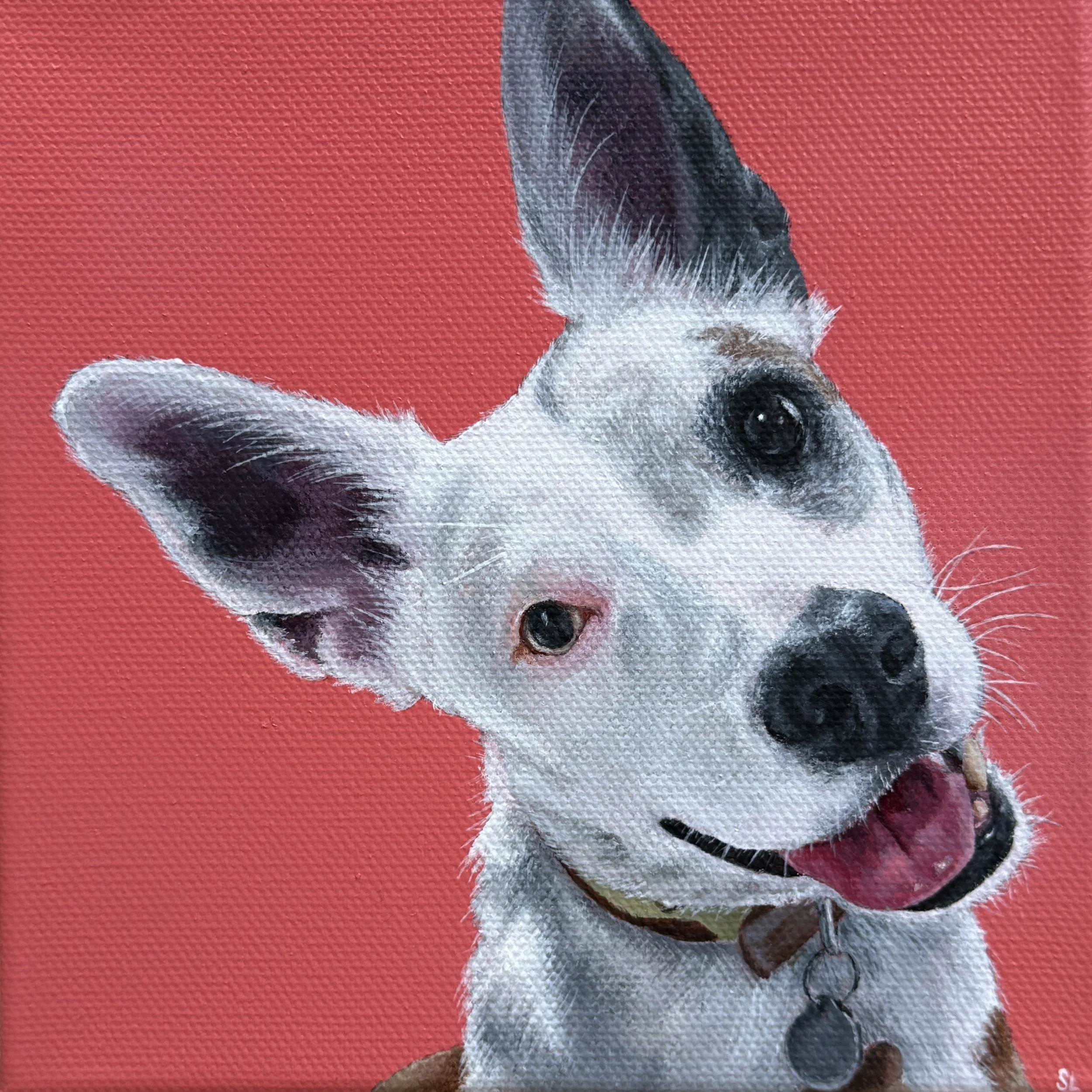   Sophie   Acrylic on Canvas  6”x6”  2025   SOLD  