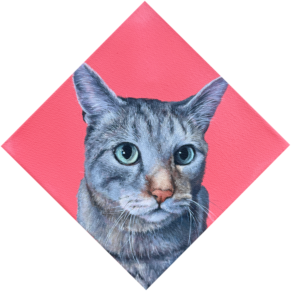   Taz   Acrylic on Canvas  6”x6”  2026   SOLD  