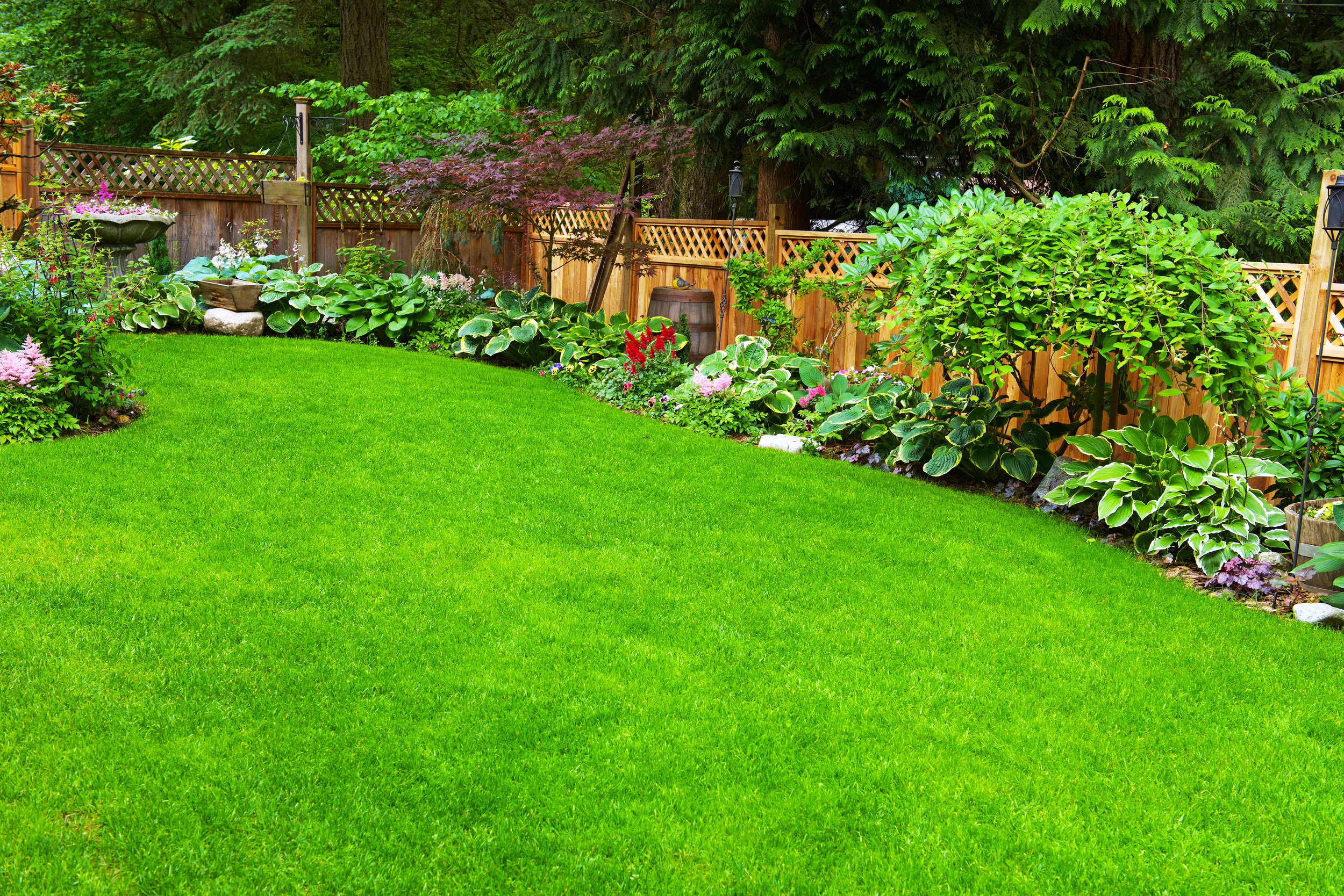 5 Innovative Fence Line Landscaping Ideas for Your Glen Cove, NY, Home