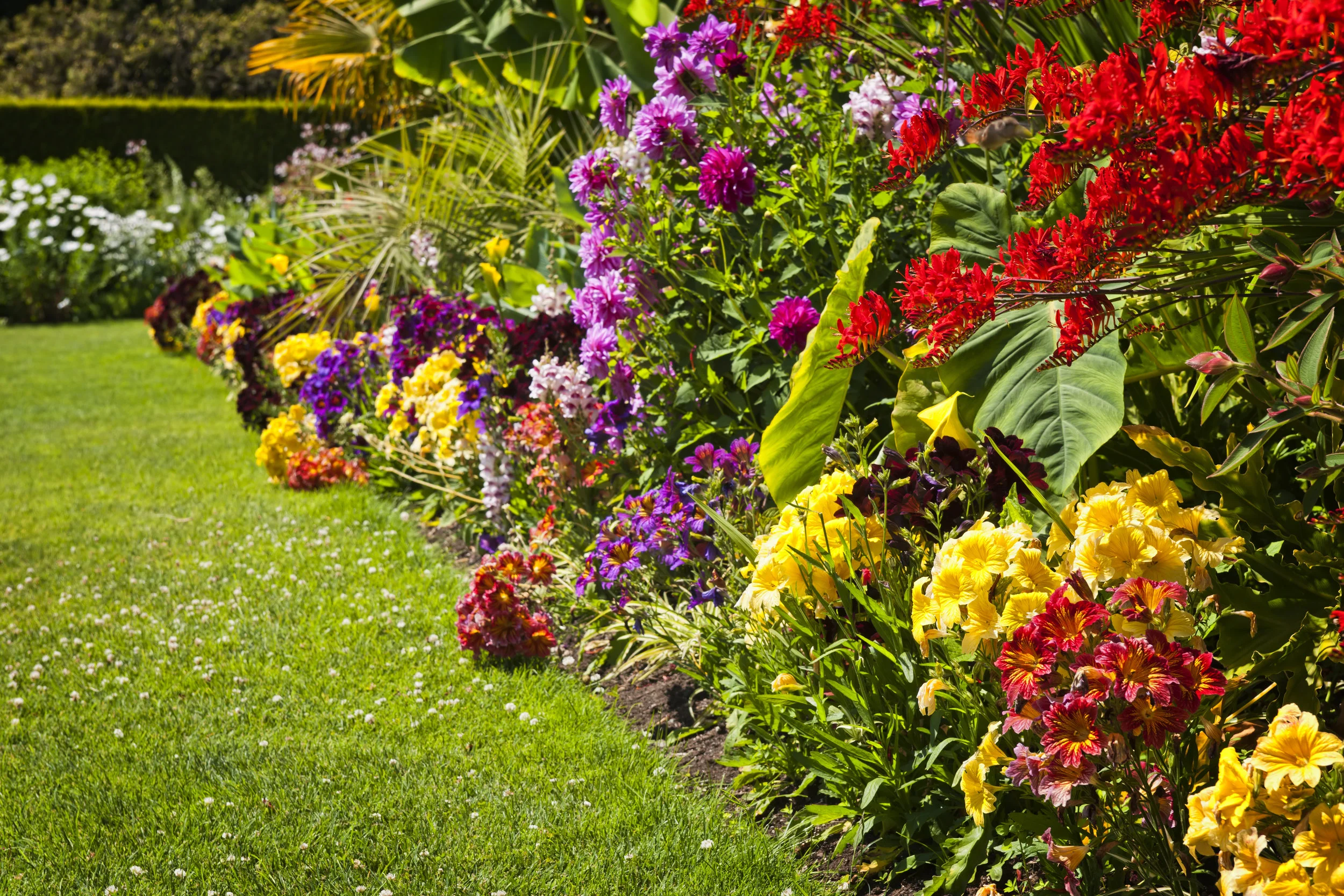 Add Color to Your Landscape Design with Flower Beds in Sag Harbor, NY