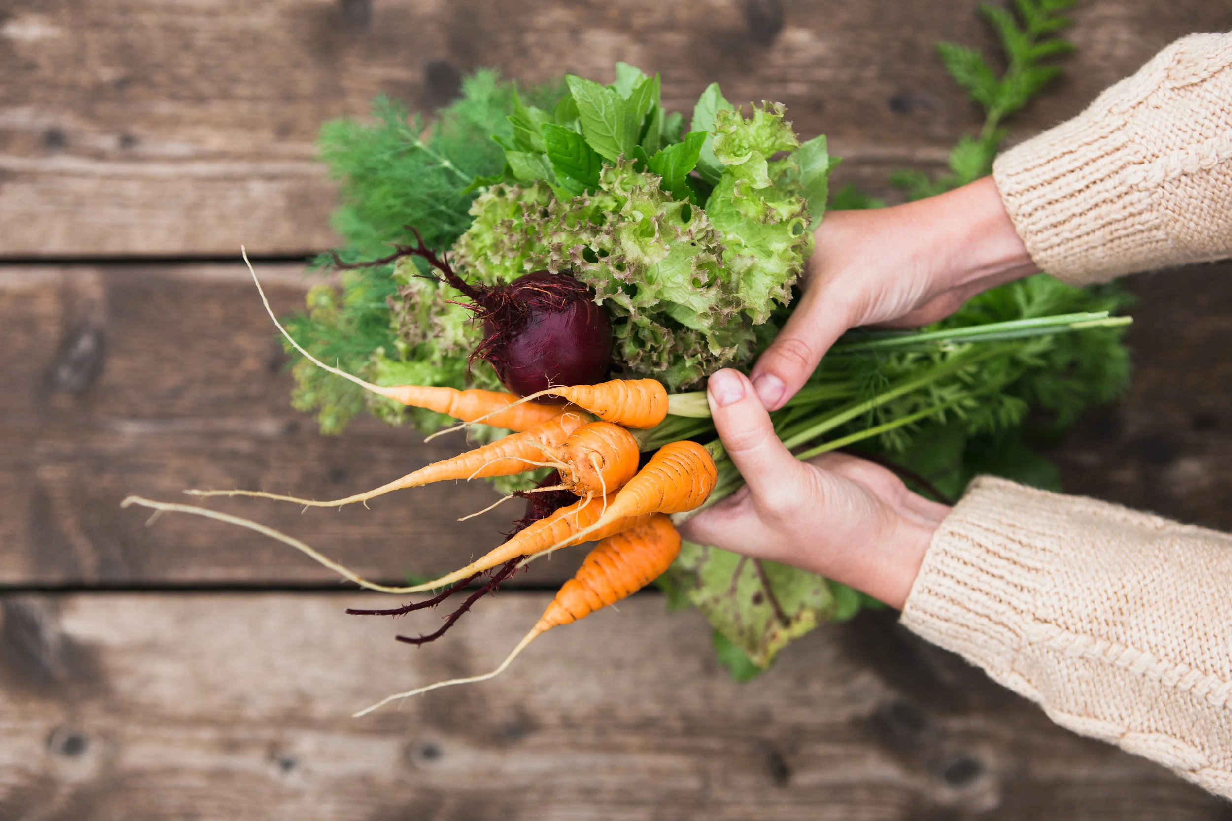 5 Benefits of Incorporating a Vegetable Garden in Your Long Island Landscape Design