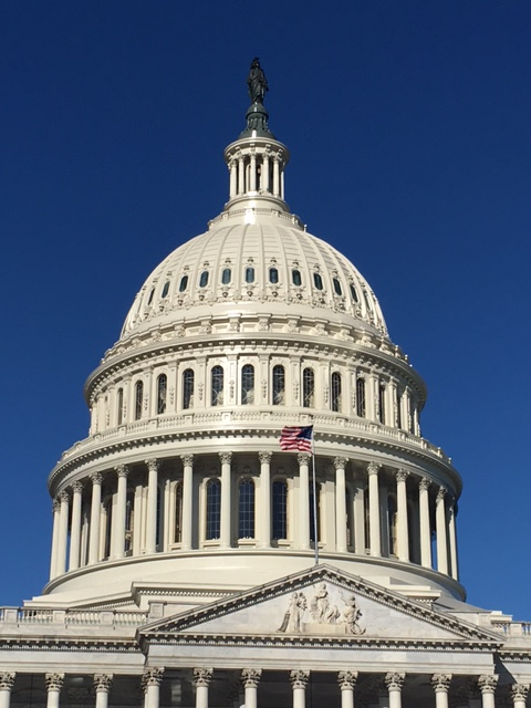 Flag Flying Above the Capital Building March 22, 2017 Brain Injury Awareness Day