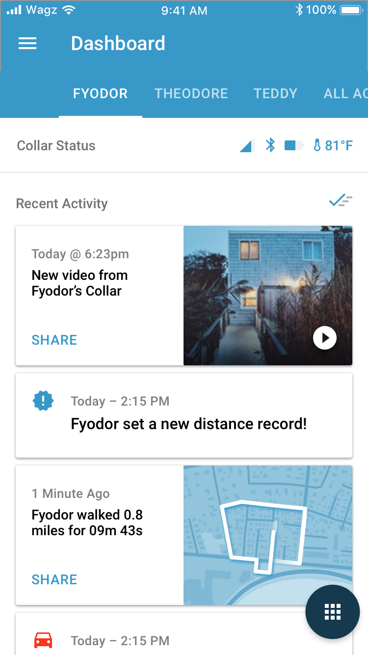 5. Wagz - Dashboard with Collar.png