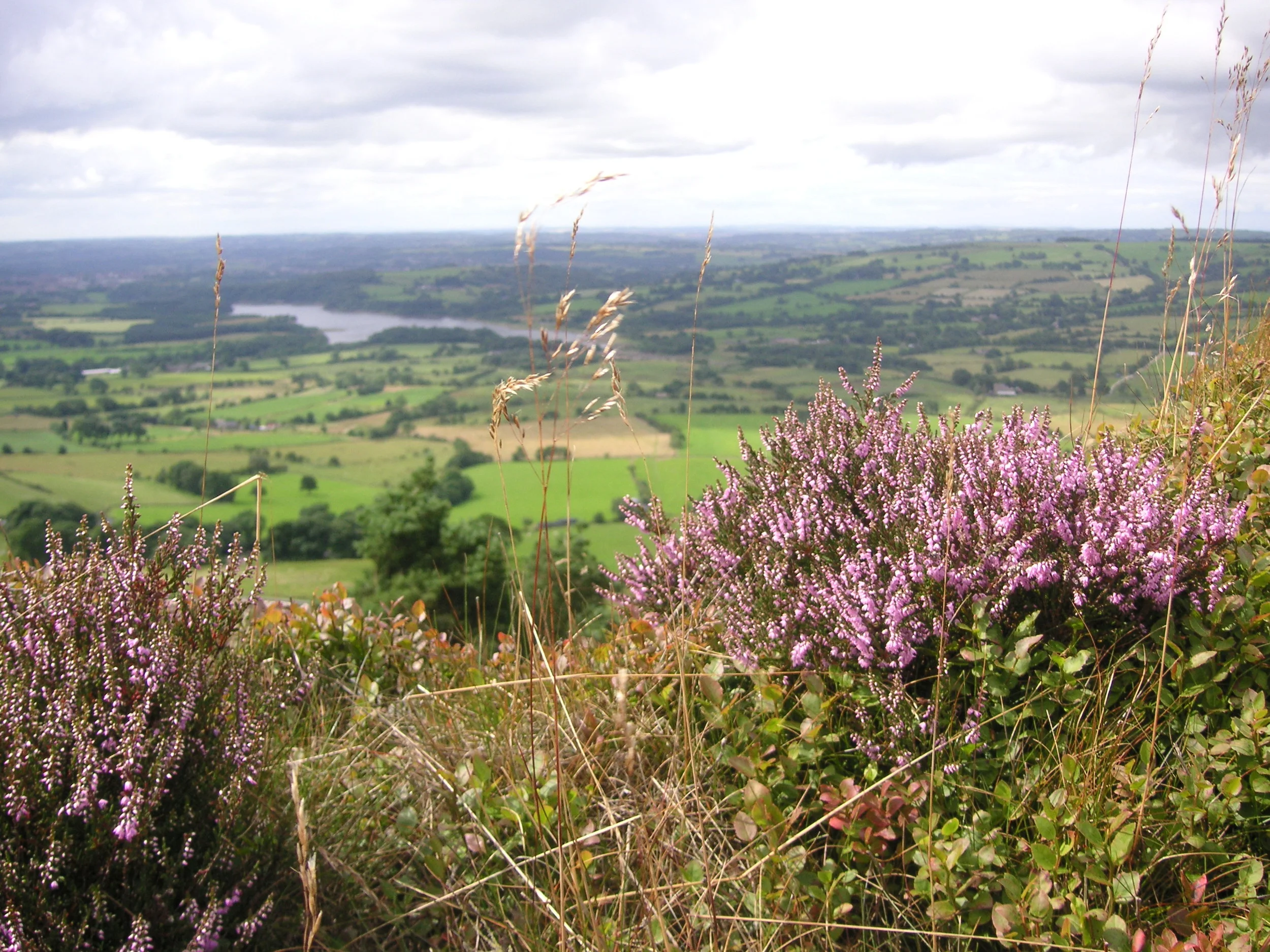 Nature, it's better than therapy...