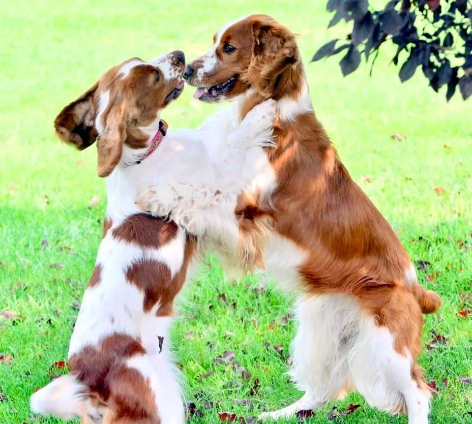 Each Other!