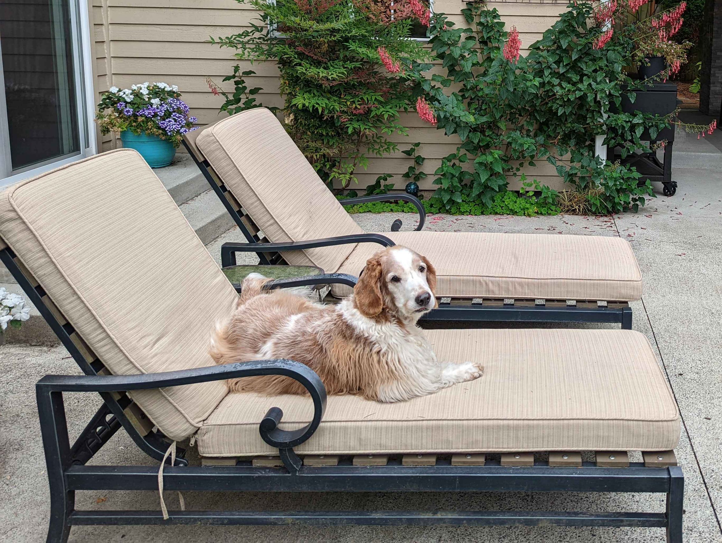 Take Comfortable Rests