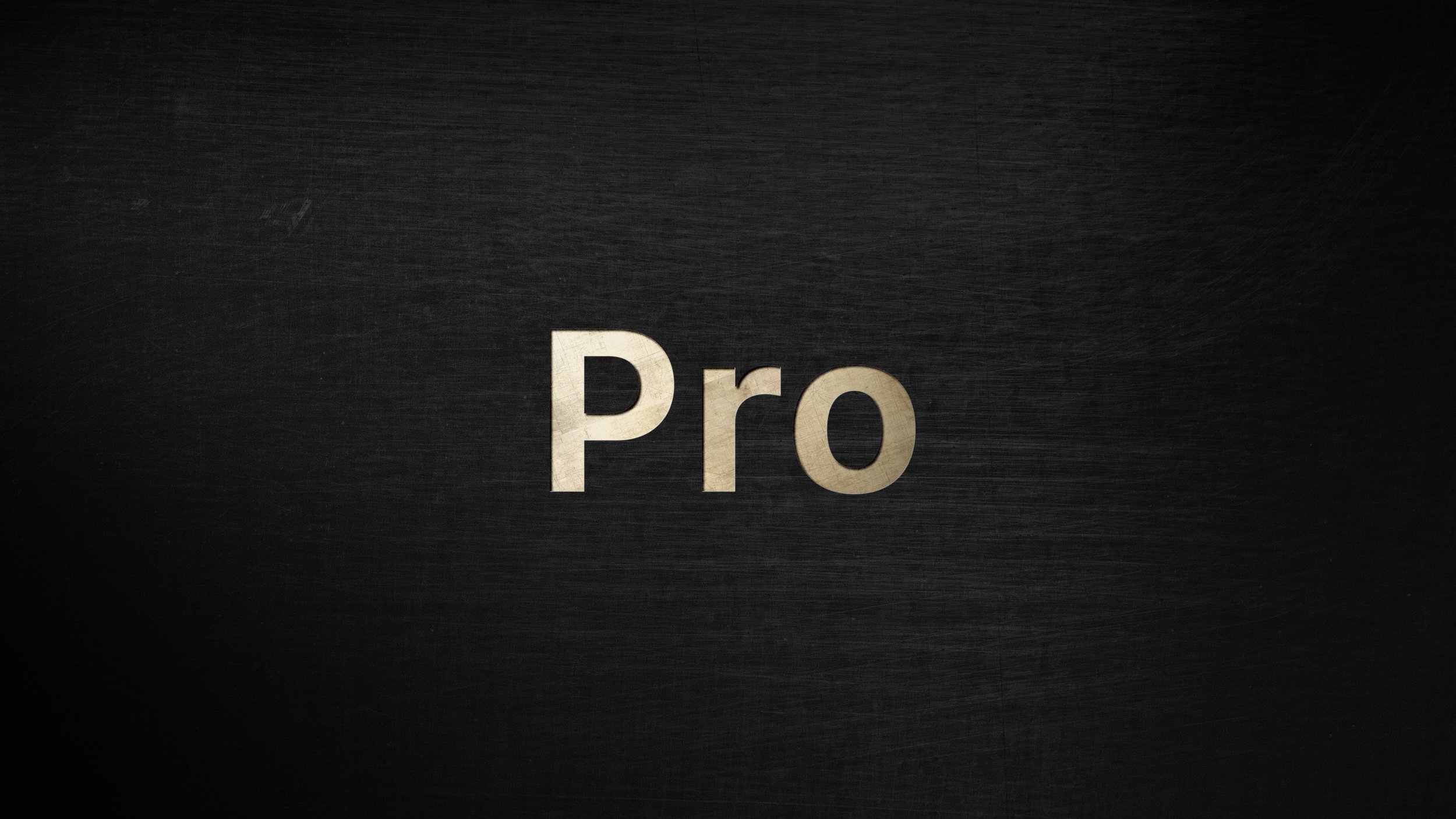 Pro 3.jpg