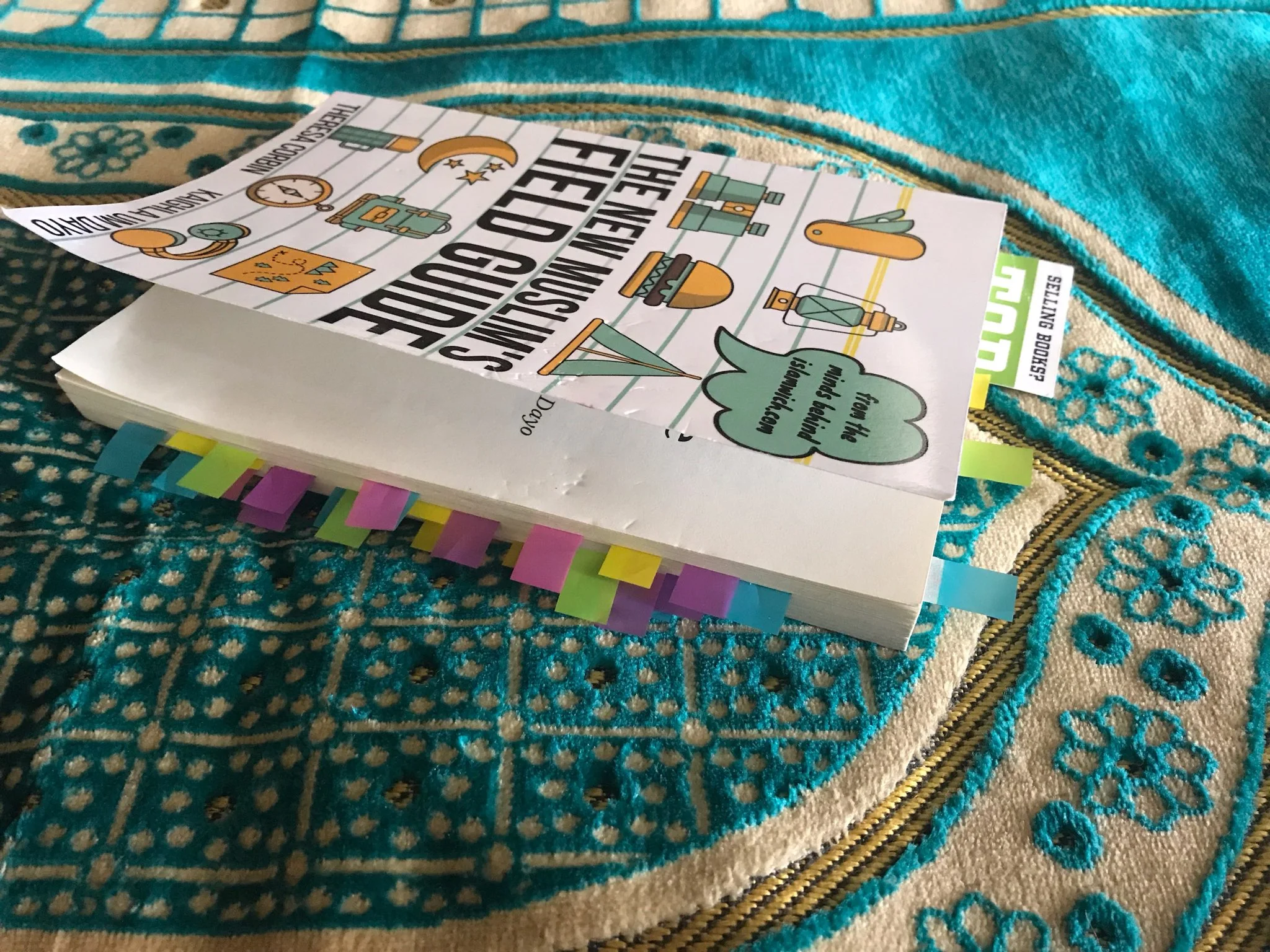 the new guide papatias copy.jpg