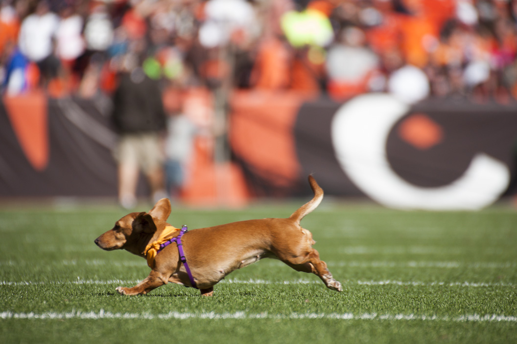 Day in the life of TRG at the Cleveland Browns game.
