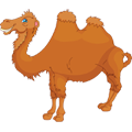 Double-Humped Camel