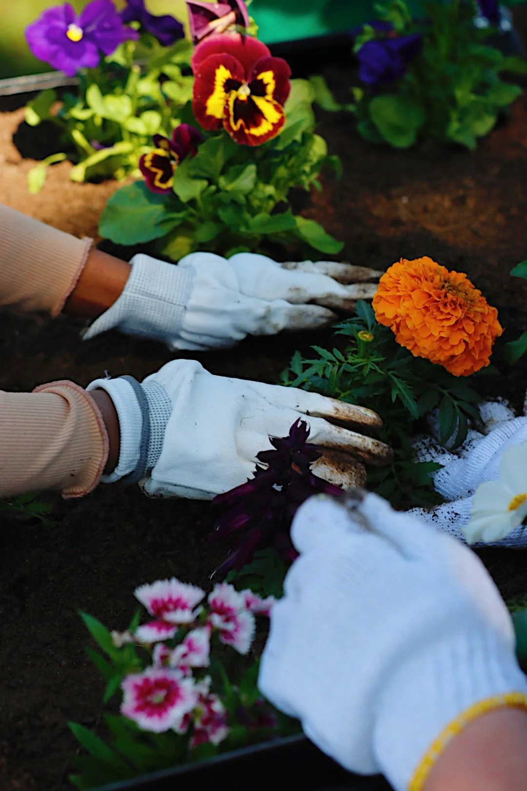 _MG_9984_VSCO.JPG