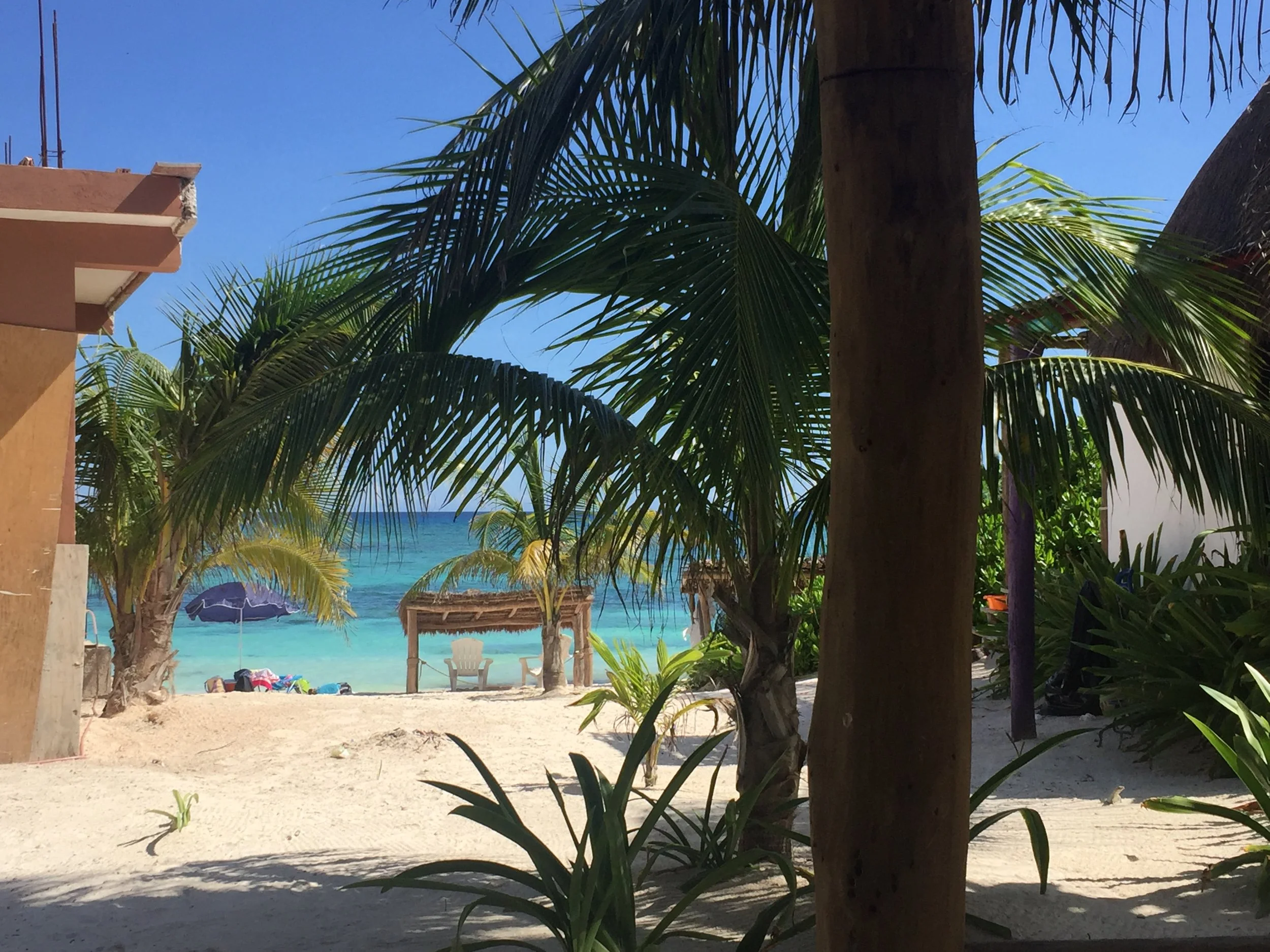 the view from the room