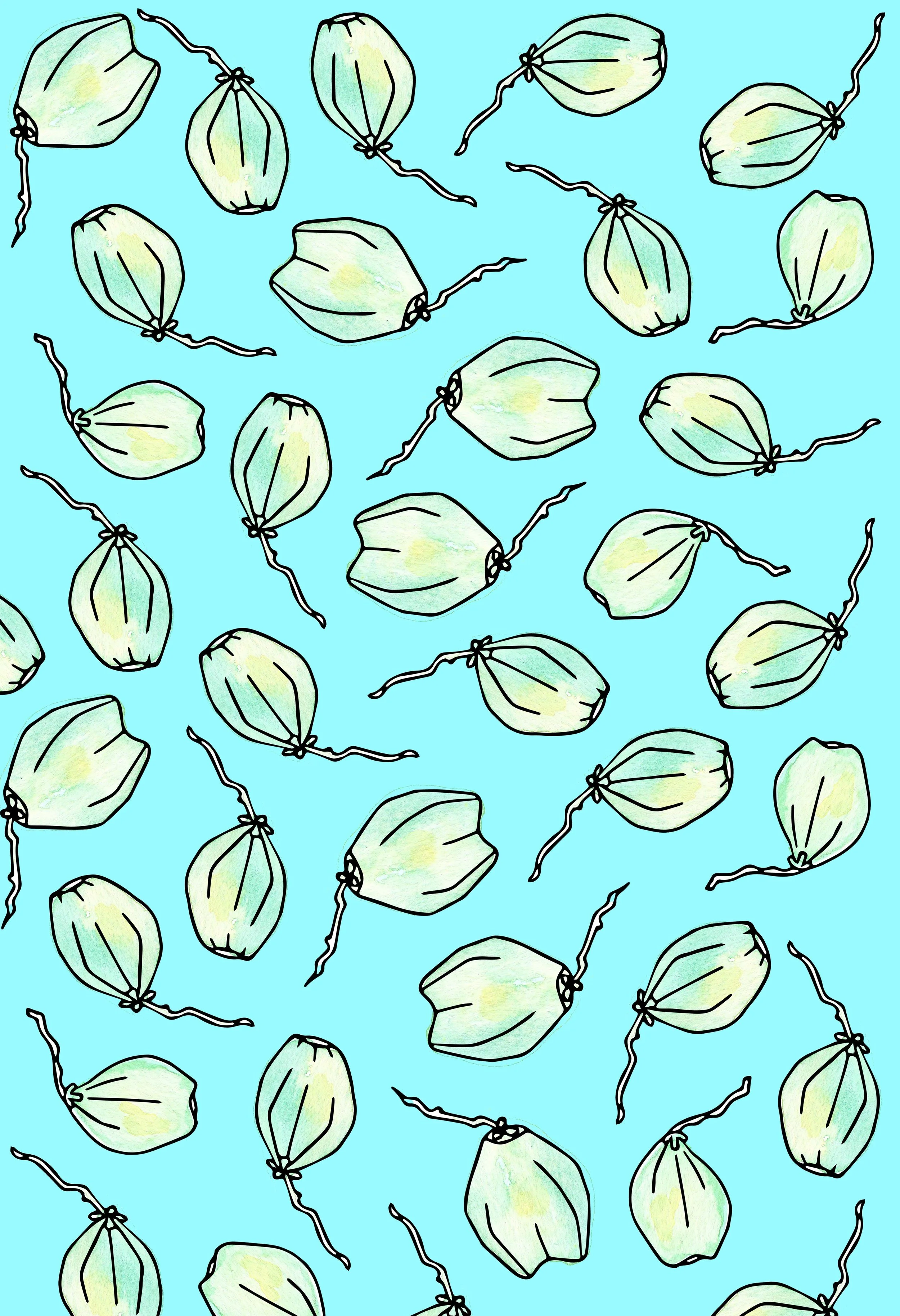 Coconuts.jpg