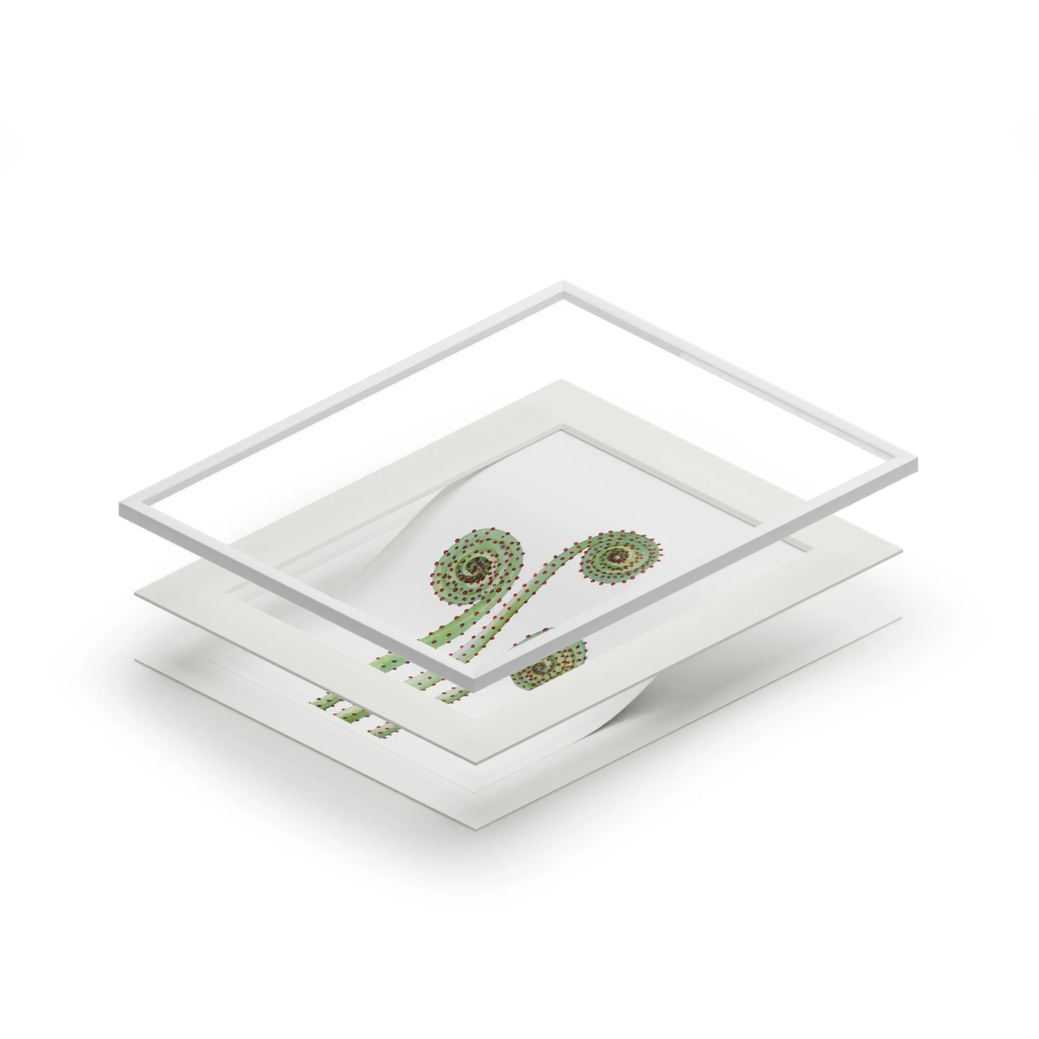 06cef906a7d6cc53037ac6f8558a9ab4