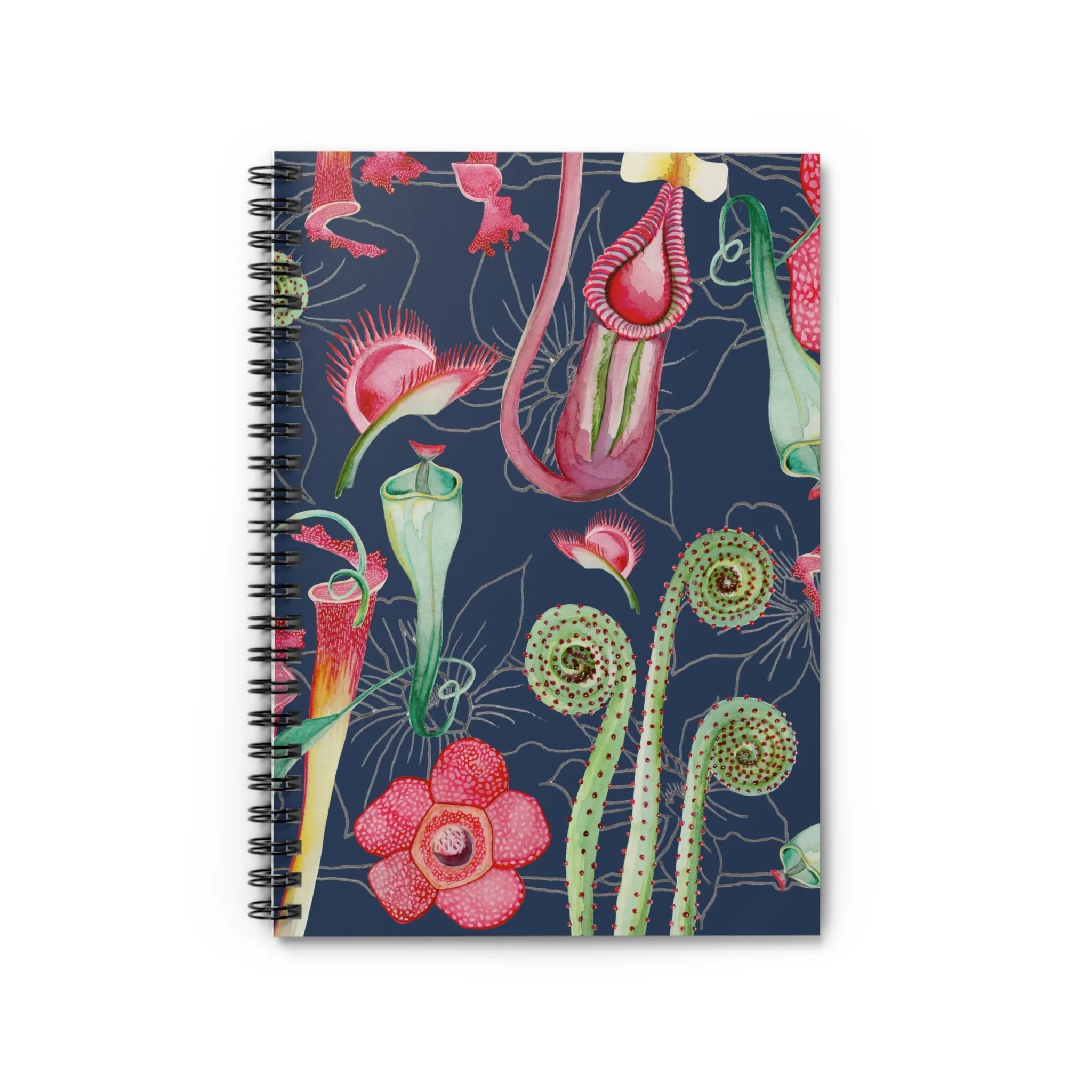 291a4359ef8b45c2735464dd184fc81f