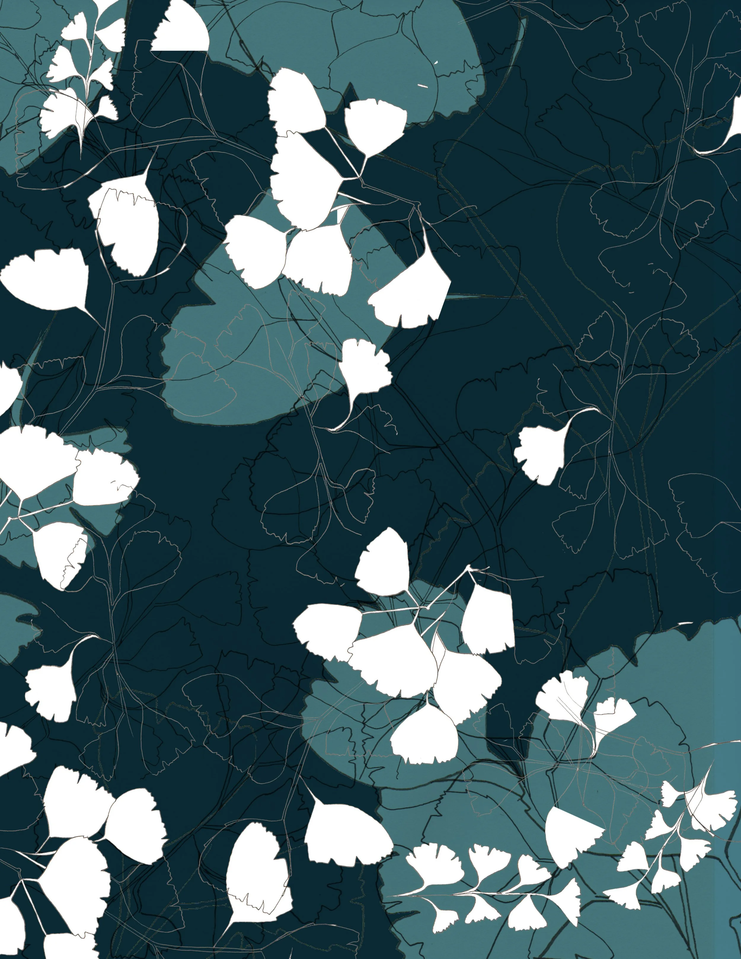 ginko leaves_overlap.jpg