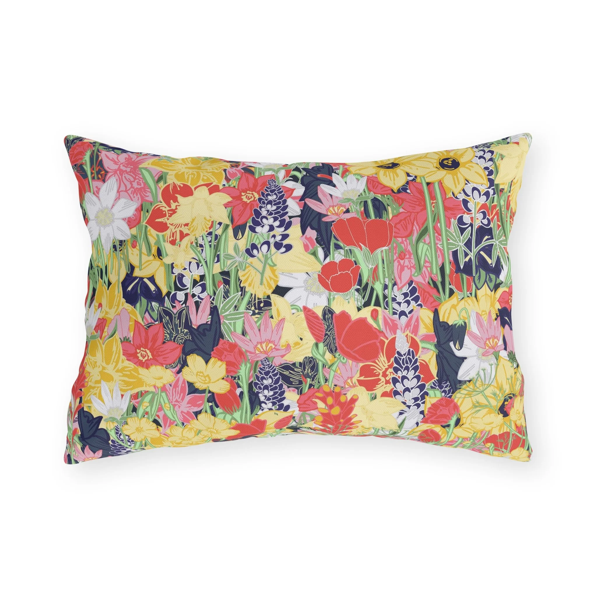 baf87a22b808382190cf69239114e7f9