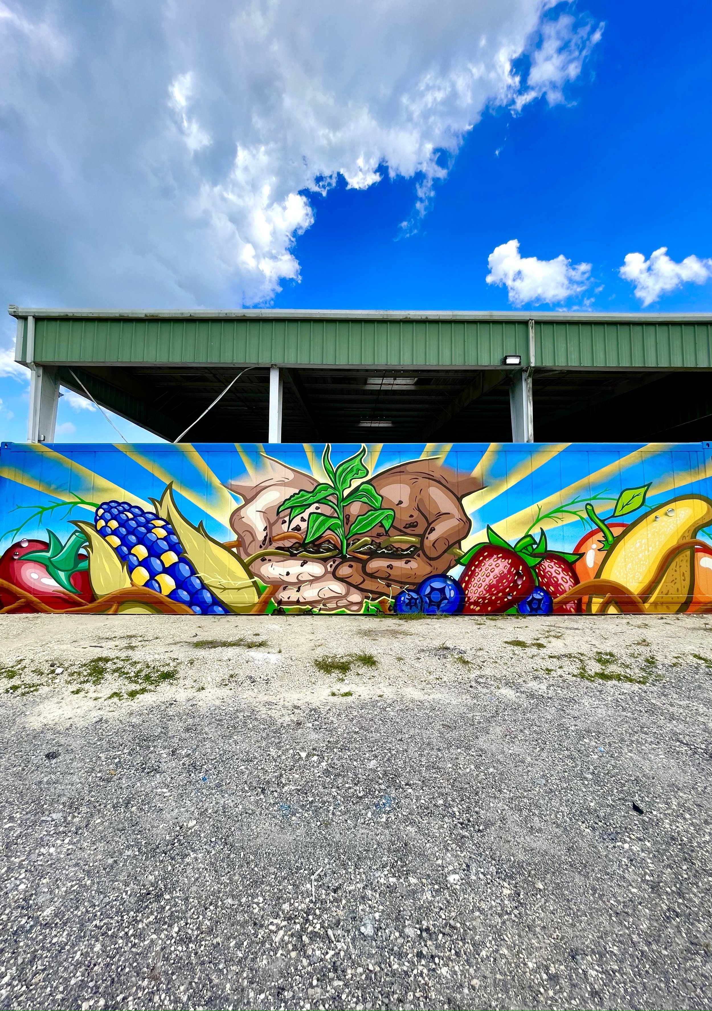 Murals Miami Portfolio — Murals Miami