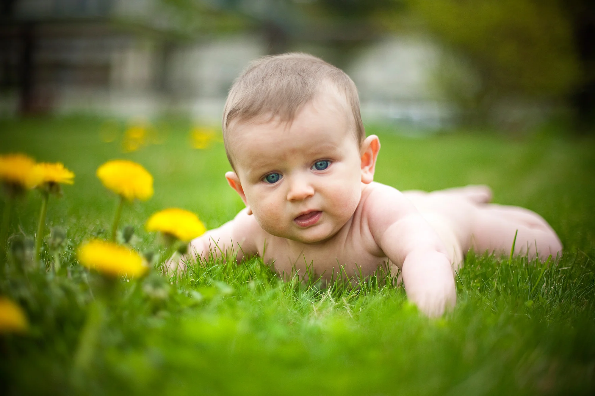 NHportraitphotograper-003.jpg
