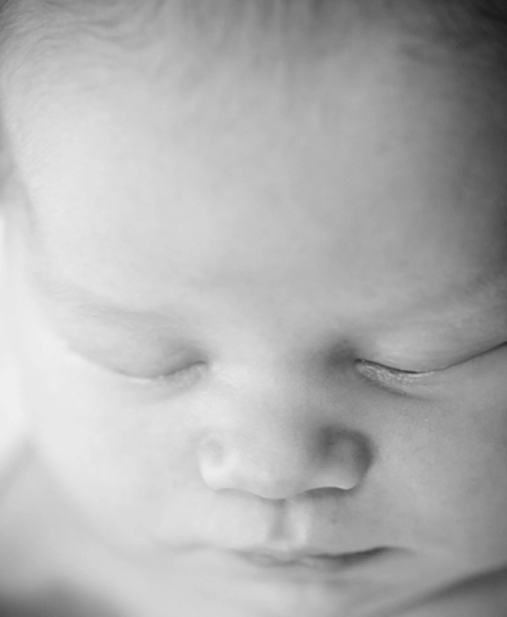 NHportraitphotograper-040.jpg