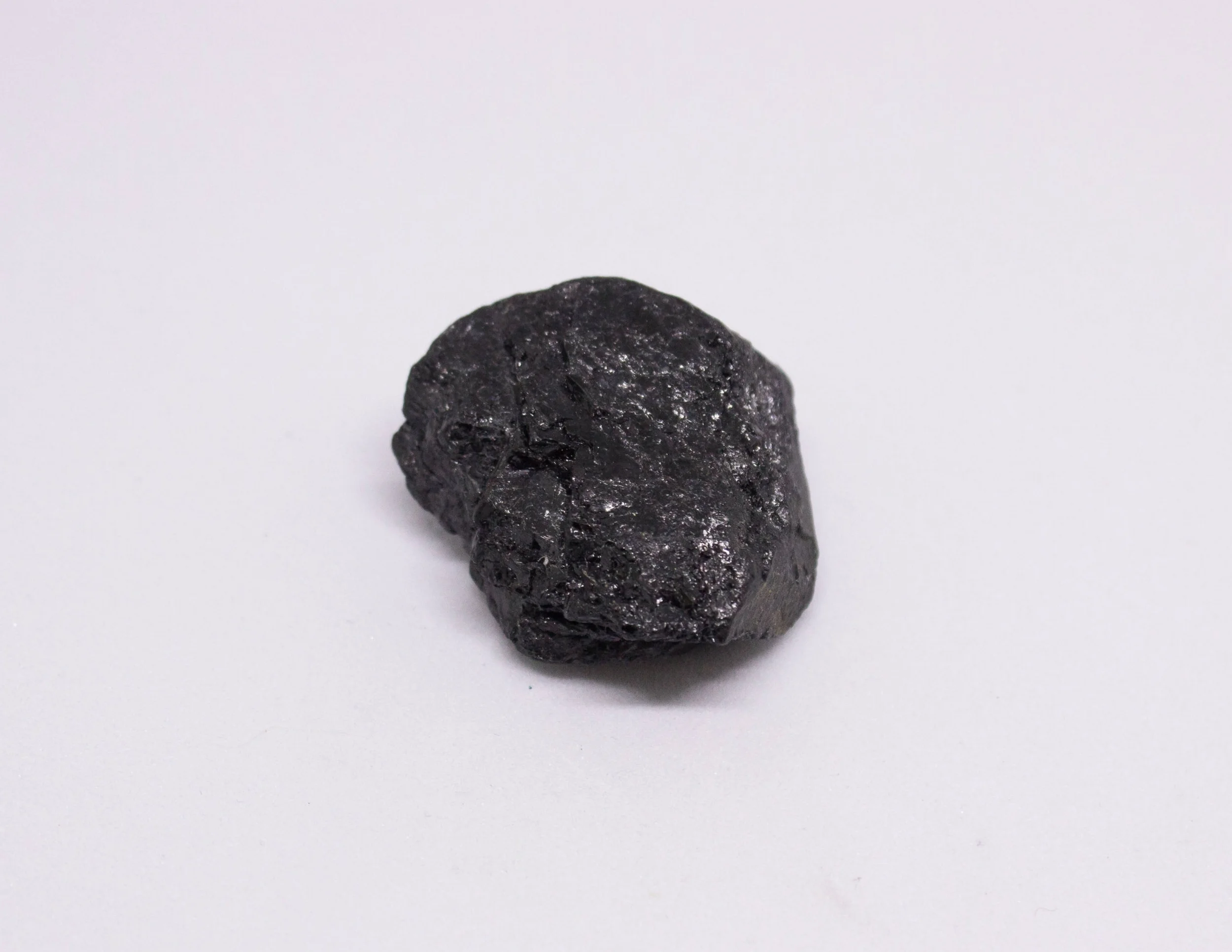Growavy Product Photos-105.jpg