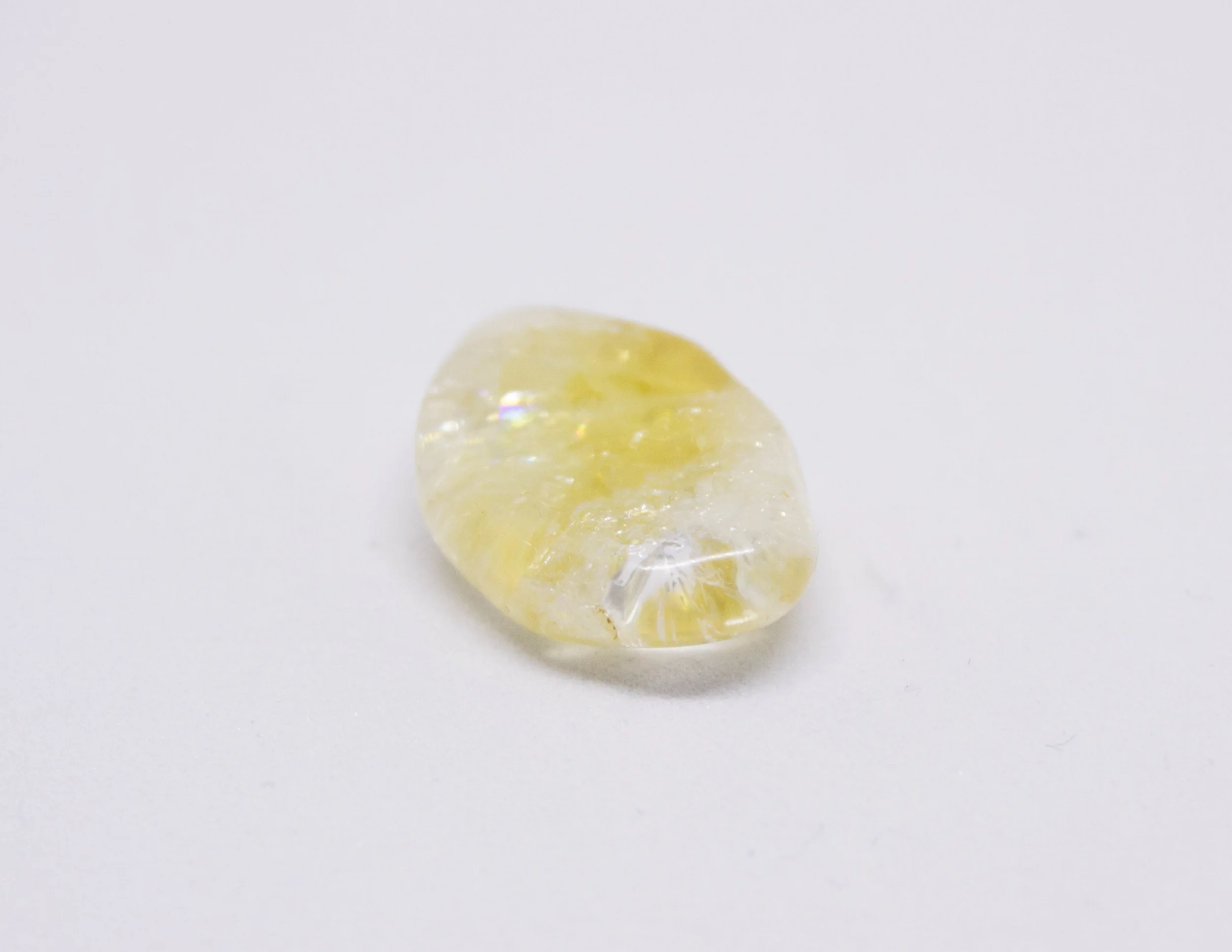 Growavy Product Photos-9.jpg