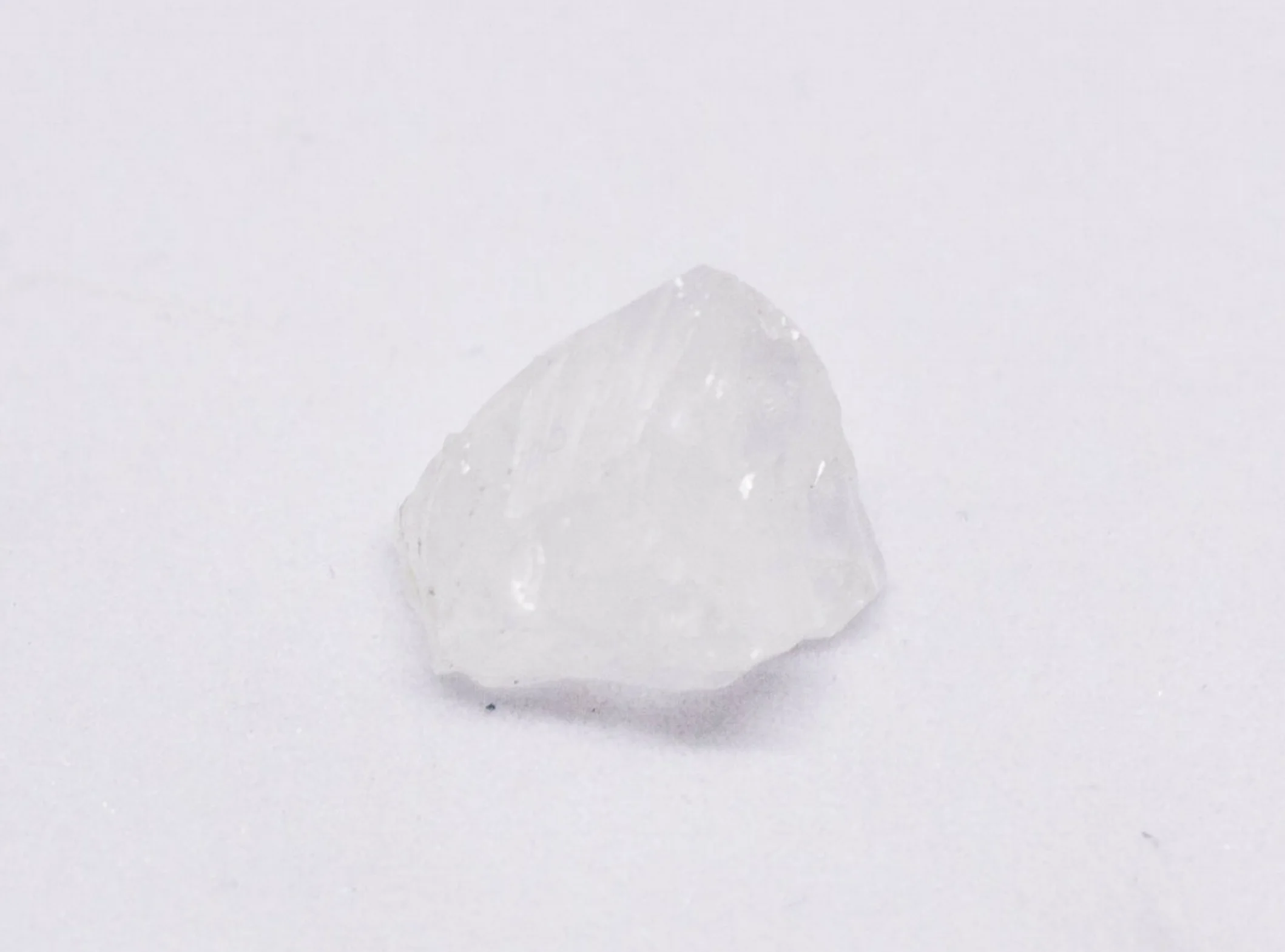 Growavy Product Photos-85.jpg