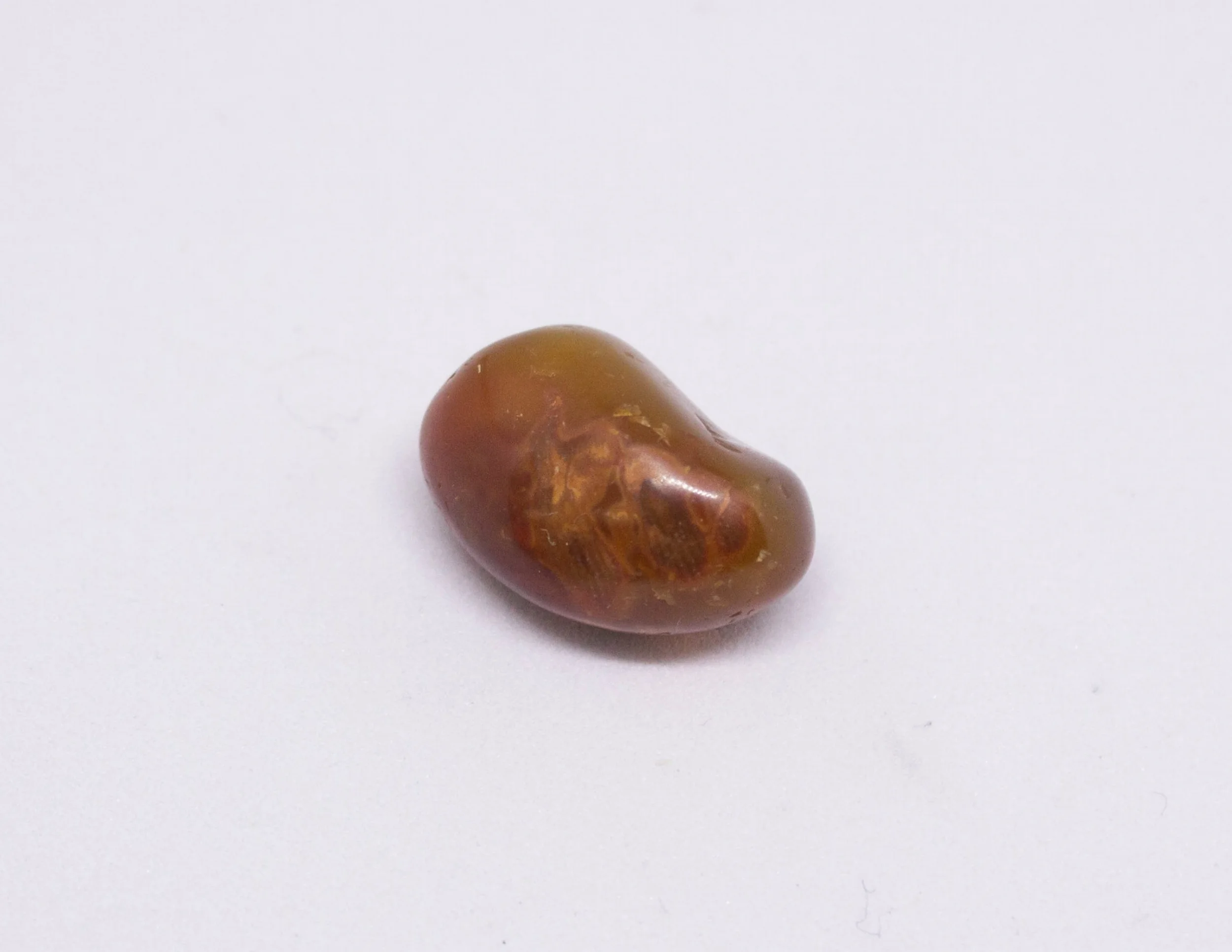 Growavy Product Photos-98.jpg