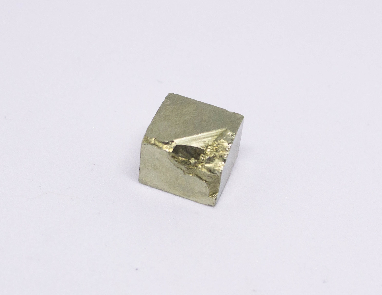 Growavy Product Photos-74.jpg