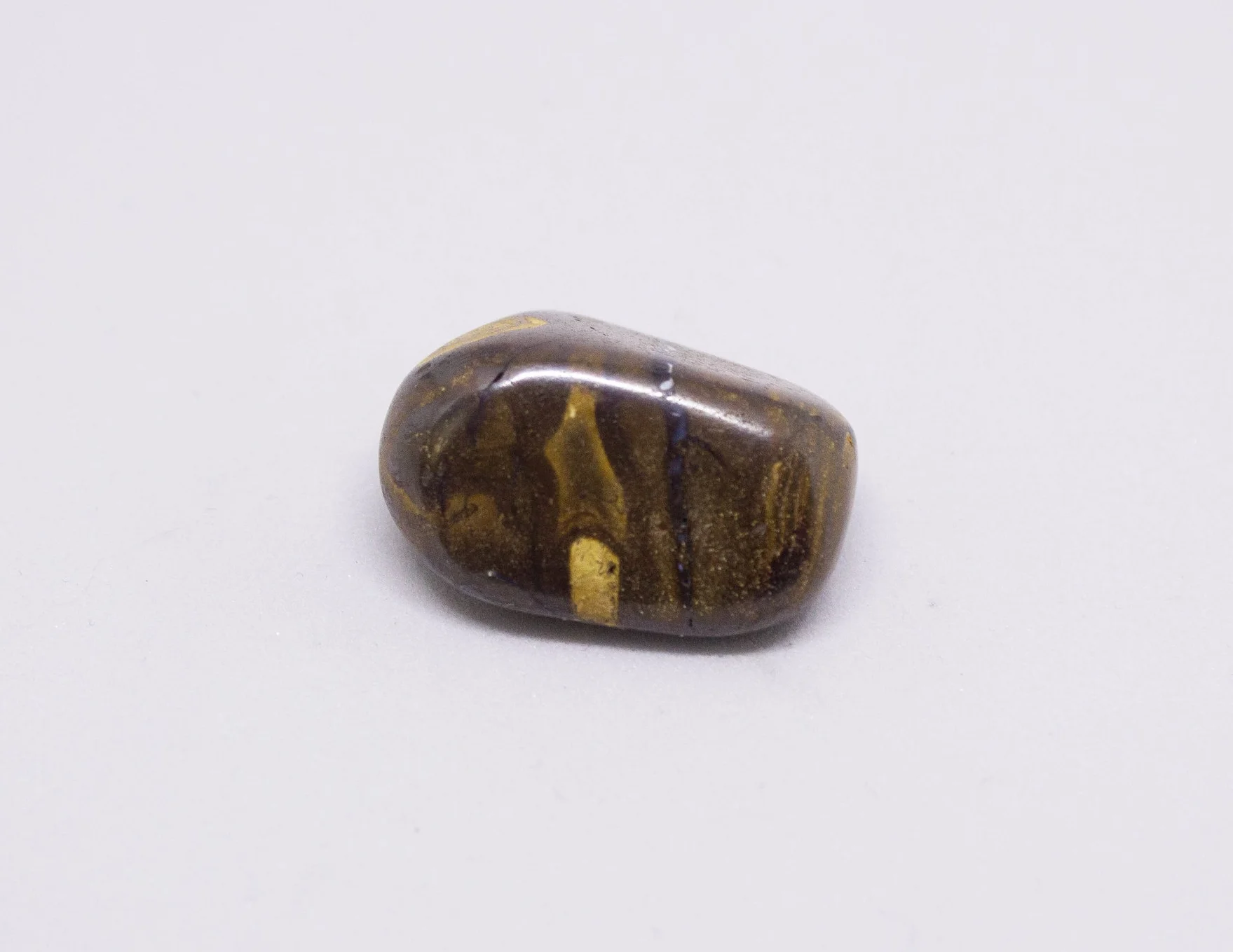 Growavy Product Photos-115.jpg