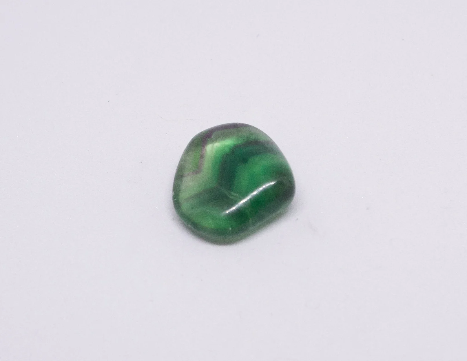 Growavy Product Photos-50.jpg
