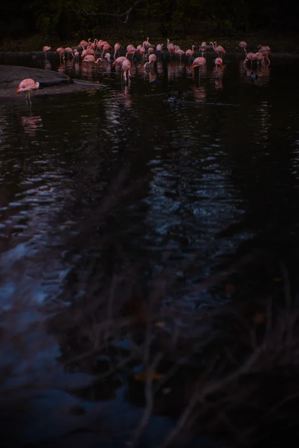L1009916.jpg