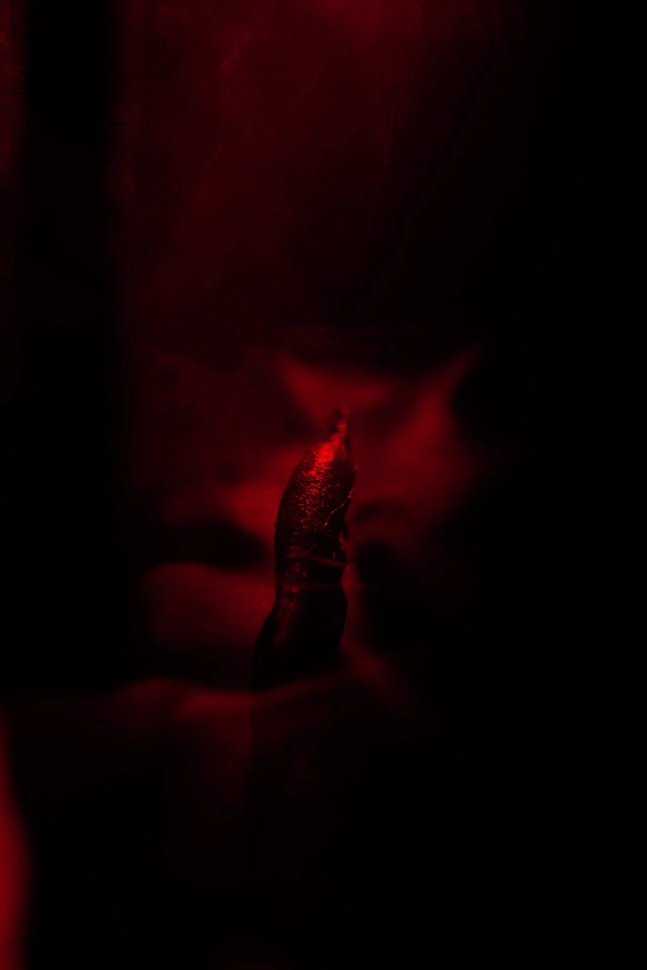  single beam transmission hologram  