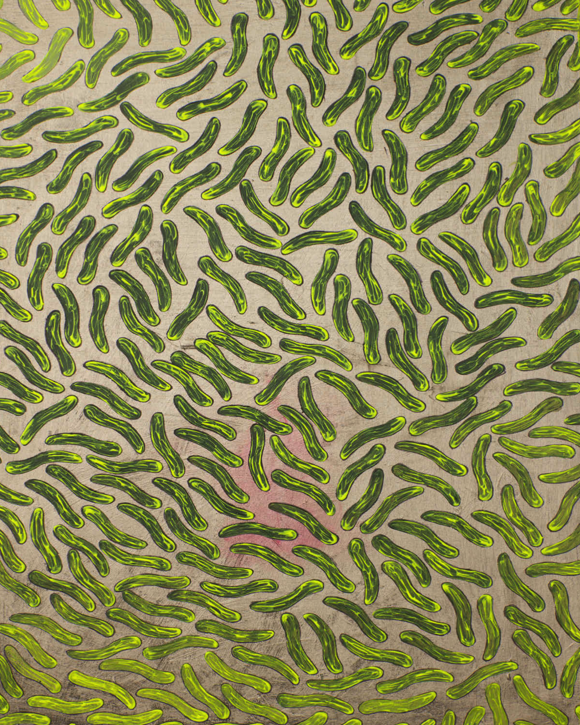   P34,  2017, 24X36”, 60X91CM, acrylic on canvas   