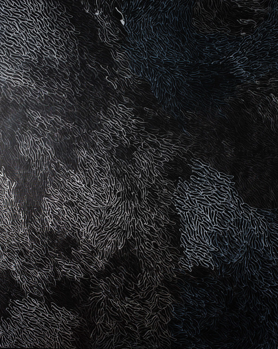   B1,  2017, 47X70”, 120X180CM, acrylic on canvas   