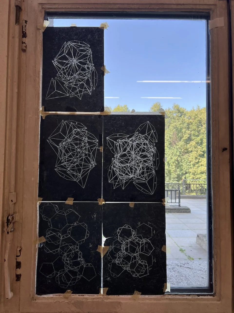  wir suchen nach mustern in der natur.  