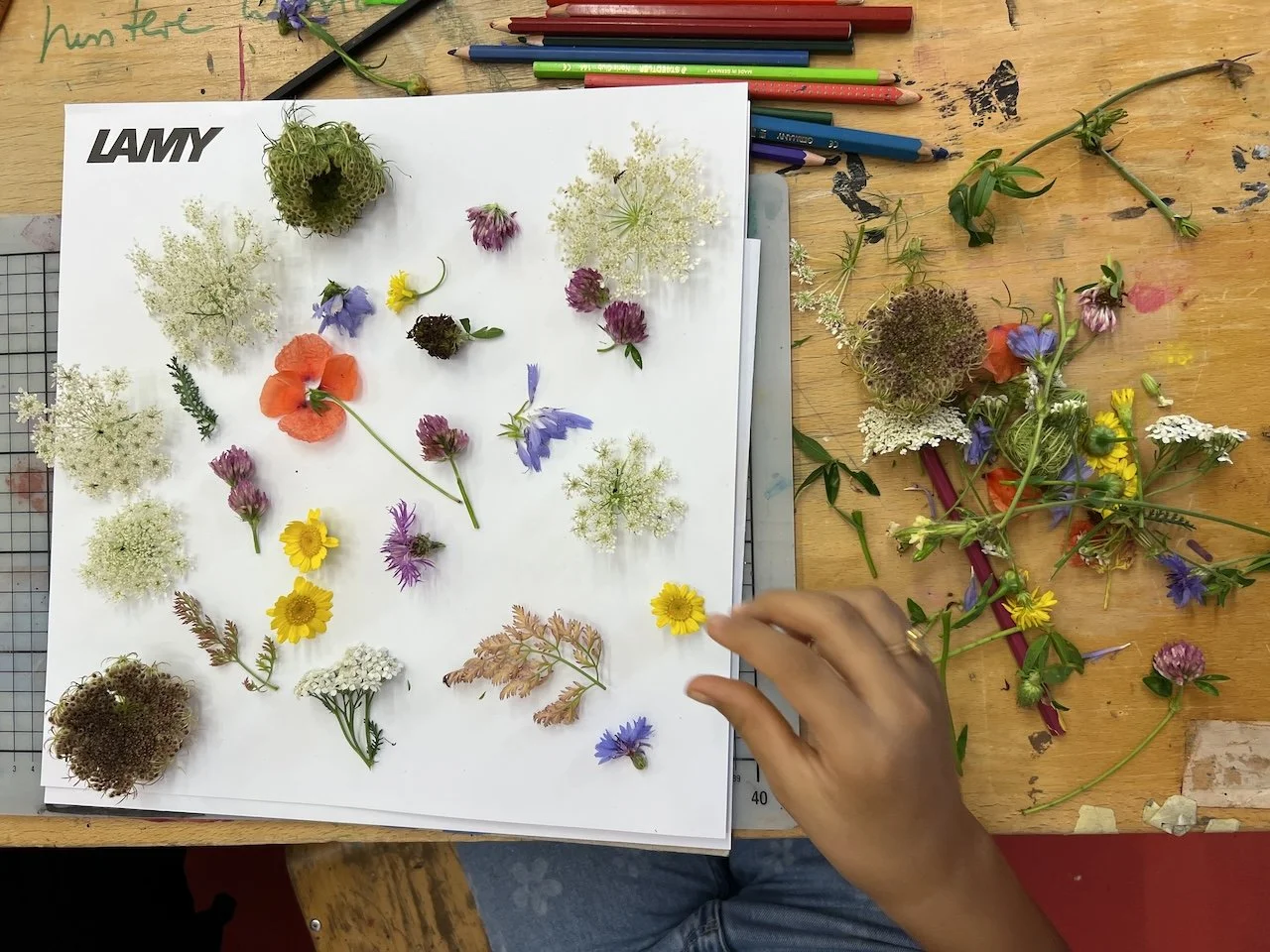  wir sammeln blumen für das cyanotypie workshop mit camille.  