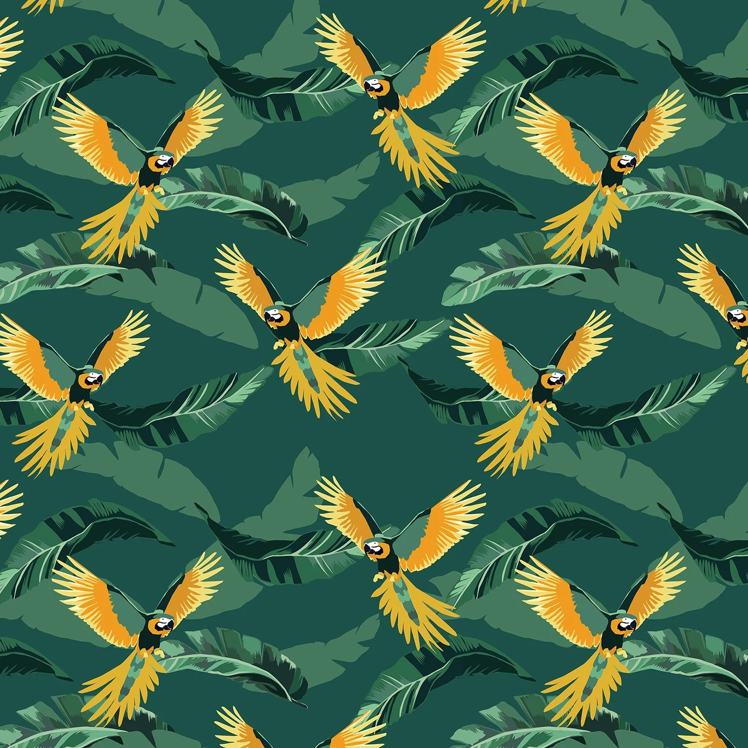 guacamayas_web.jpg