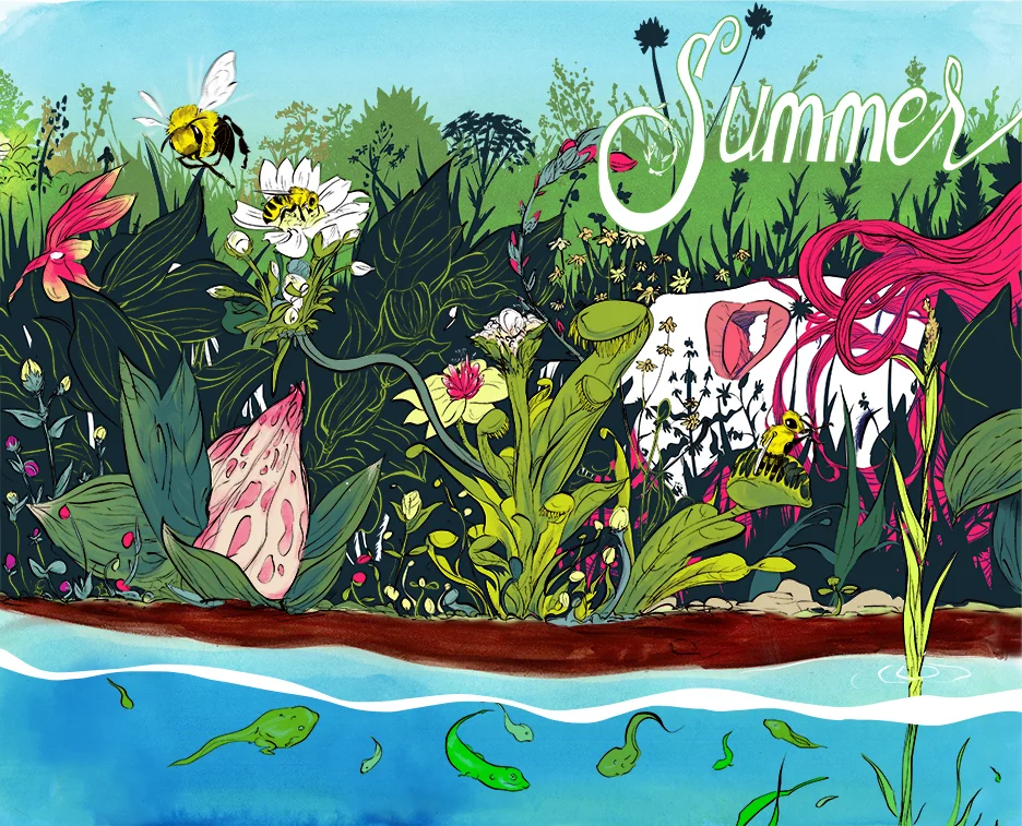summer2013.jpg
