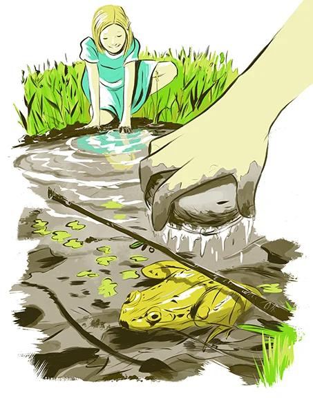 frog.jpg