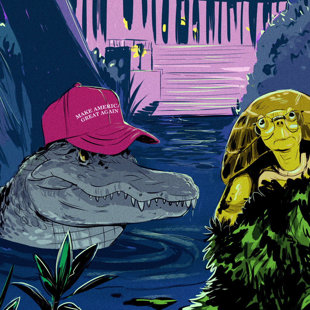 gator.jpg