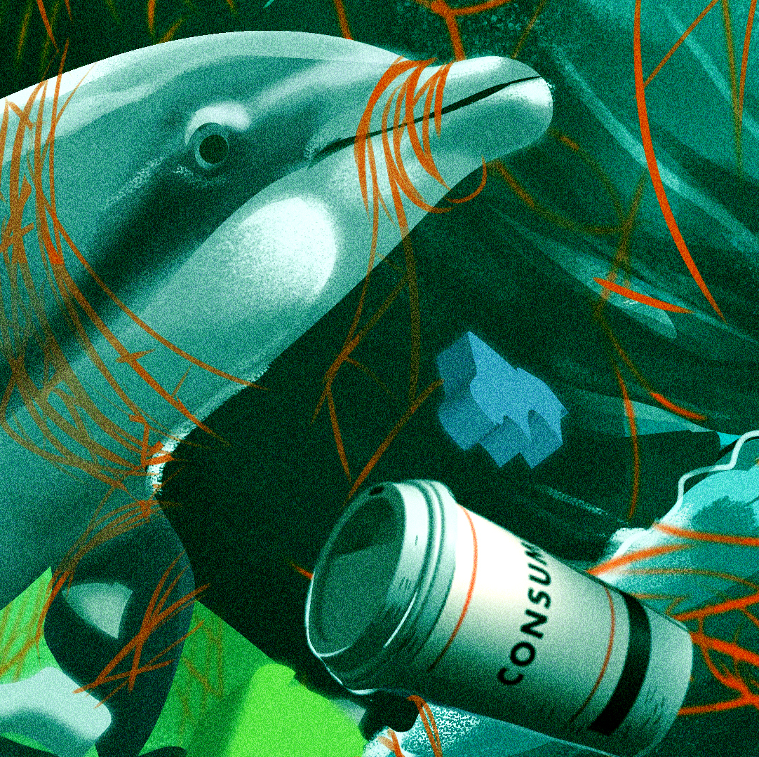 dolphin.png