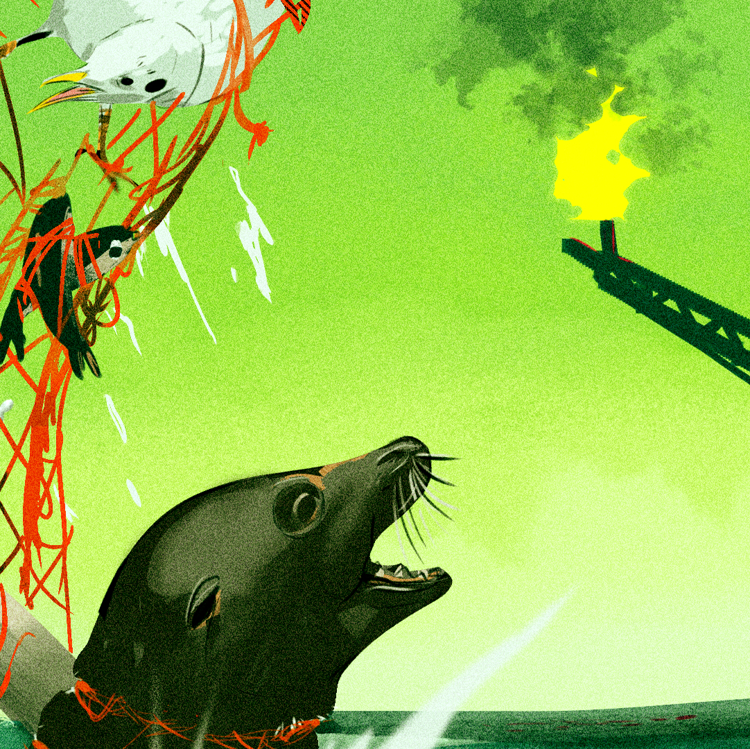 seal.png