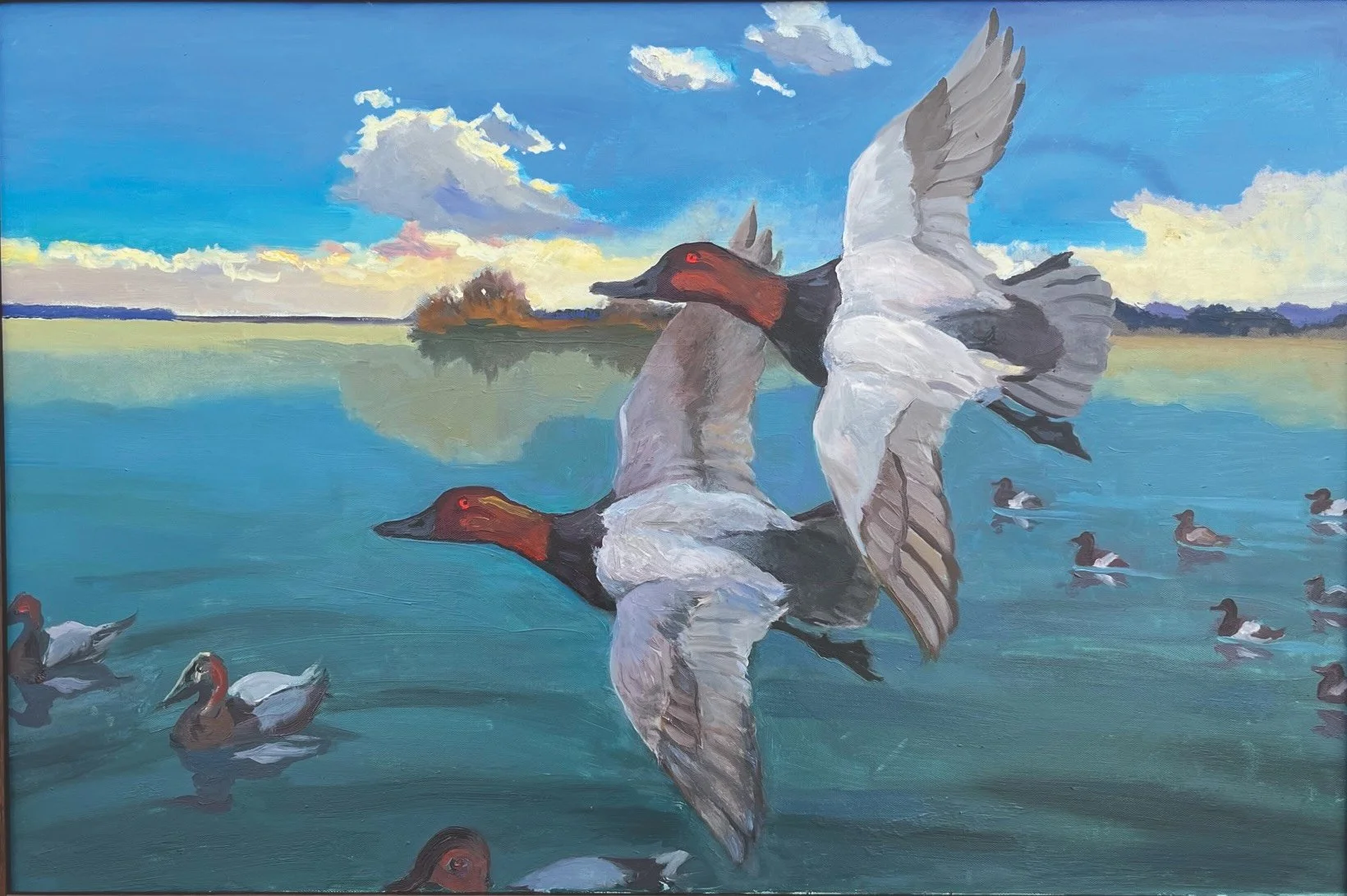 Canvasbacks 