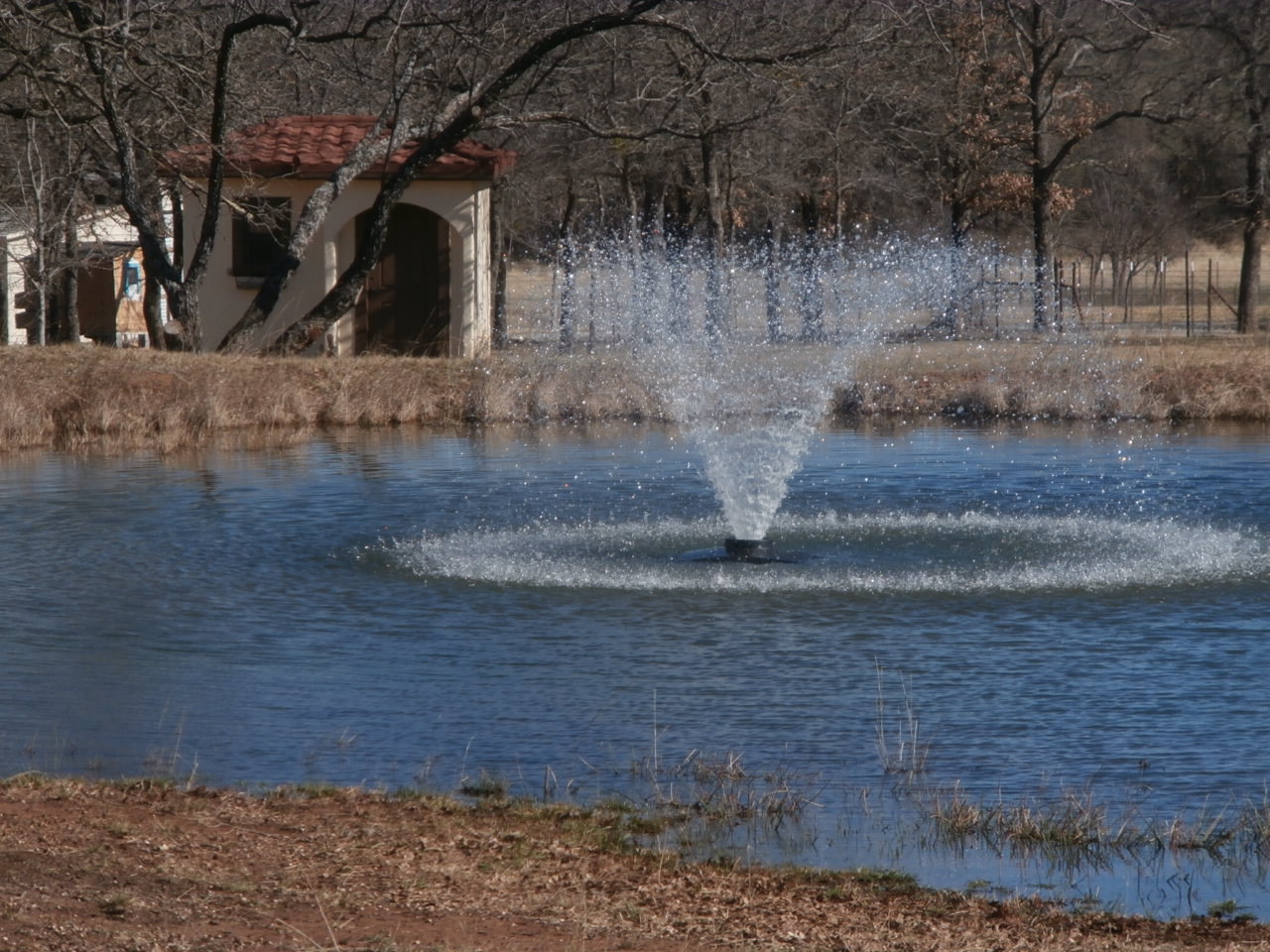 Pond Fountain.jpg