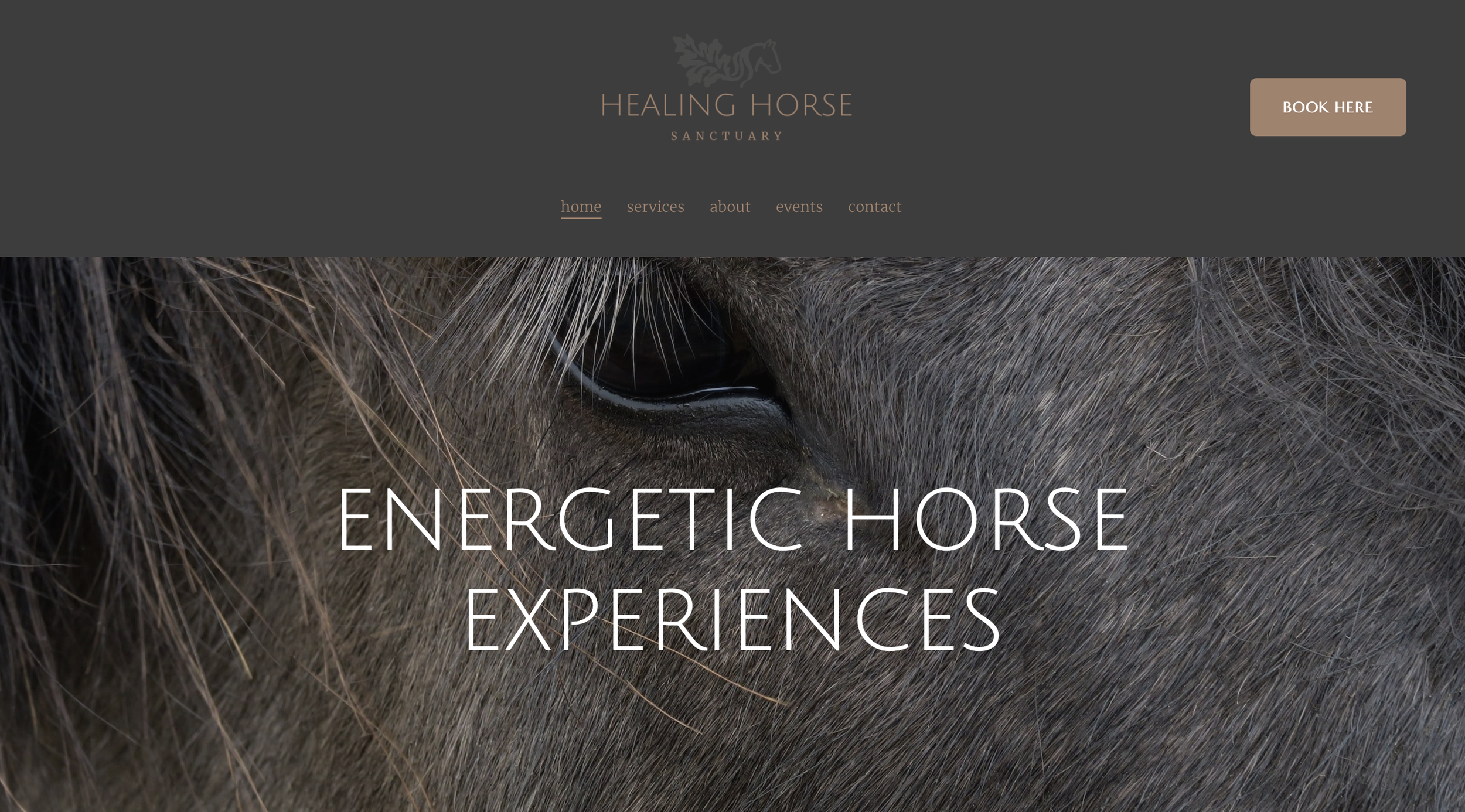 Close-up of a horse's eye and surrounding fur with overlaid text 'Energetic Horse Experiences'