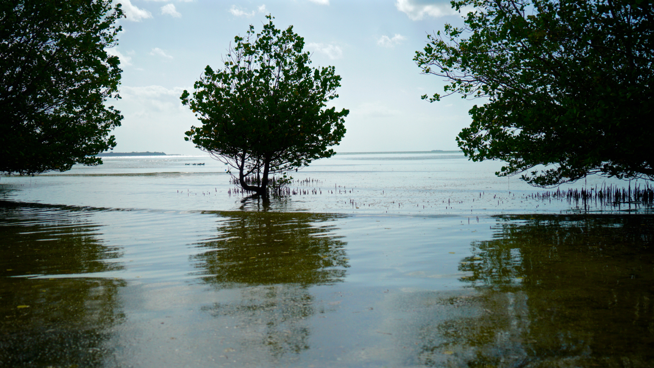 beach - 20.jpg