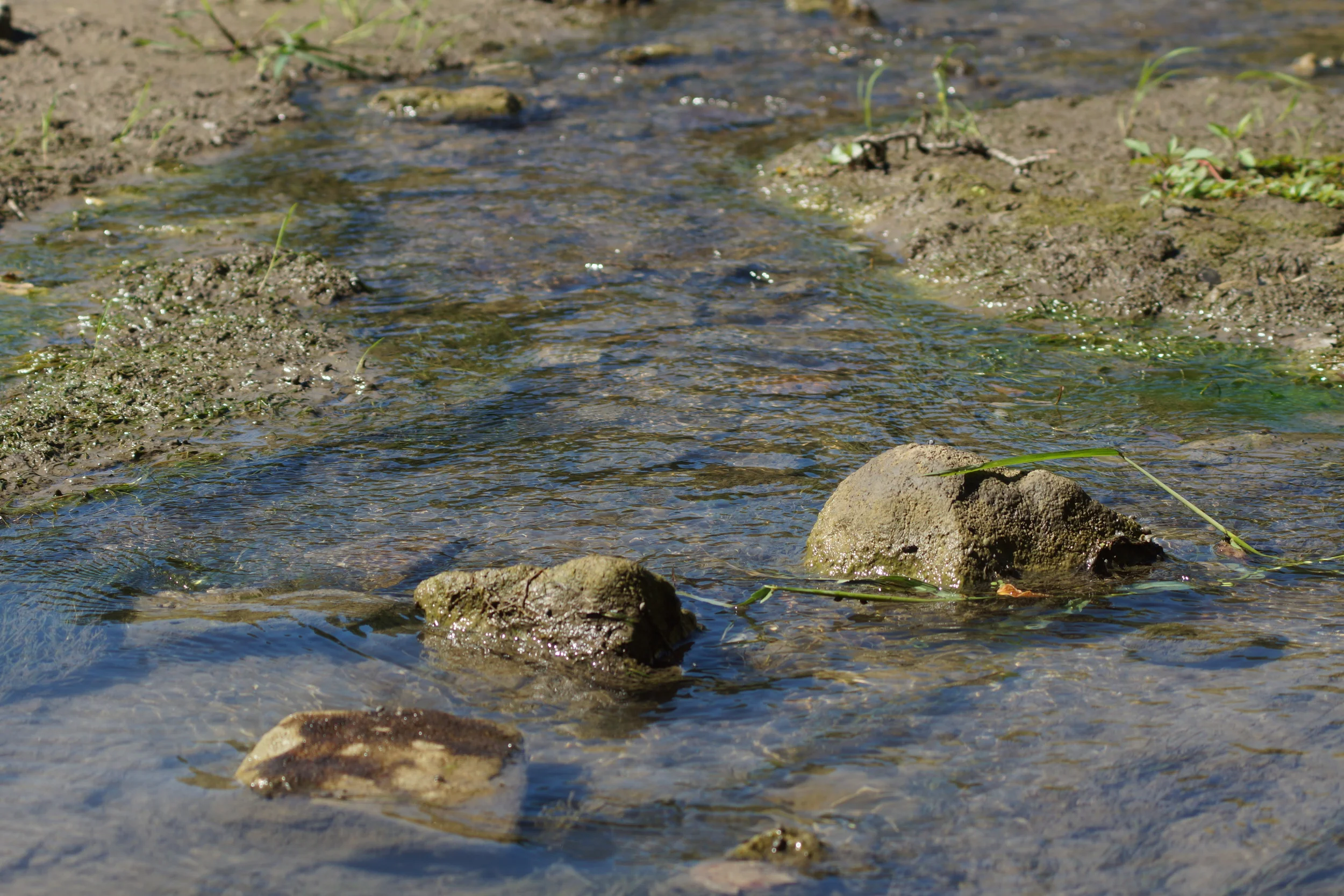 Rocks in a Stream, Alma KS, 2014